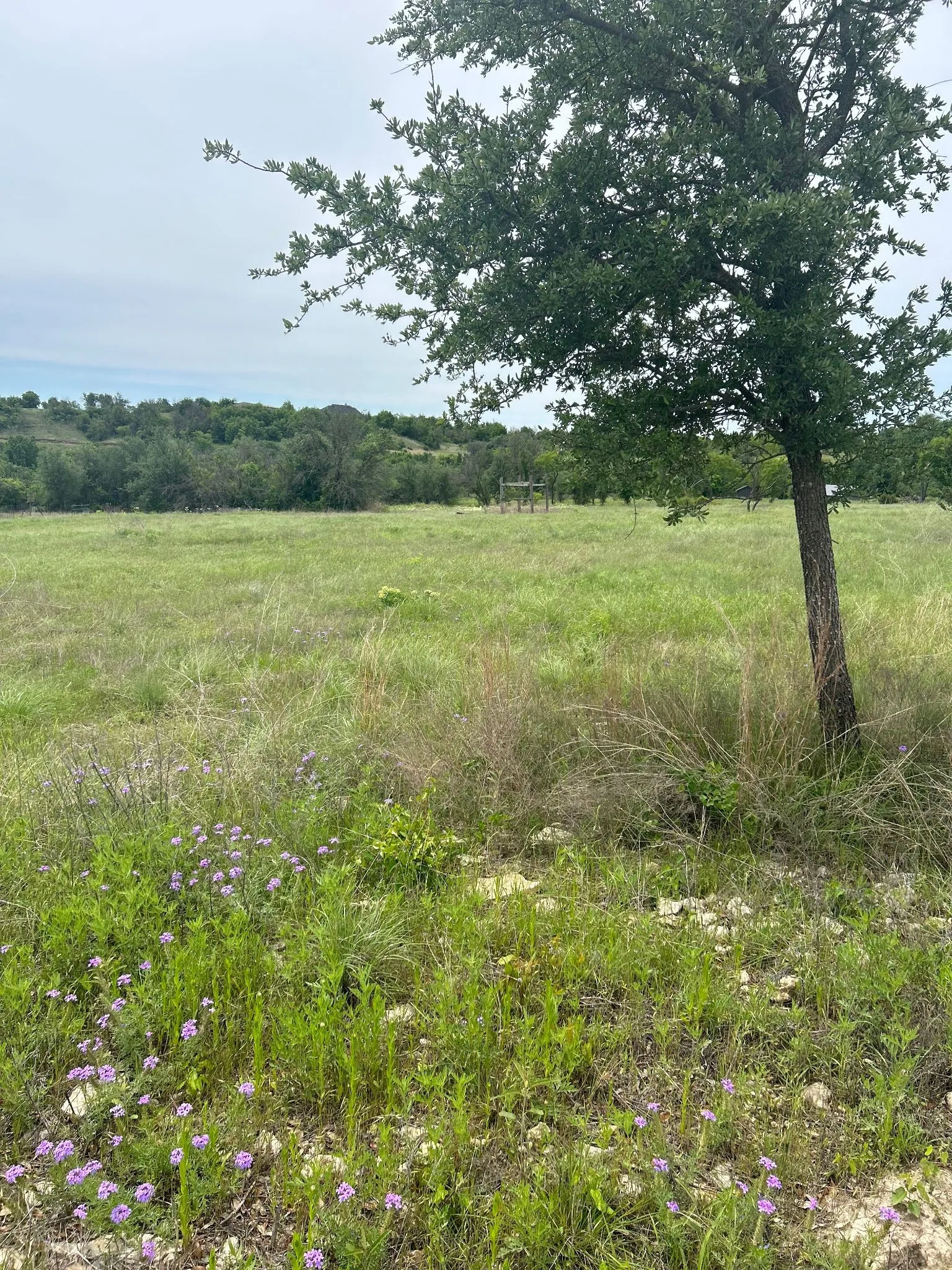 Unimproved Land For Sale in Erath County , TBD Round Up Court, Stephenville, Texas 76401, 0, 0, Garage spaces, 0 Sqft, built in 0, mls#21339683, Real Estate Agent in Stephenville, Homes For Sale in Erath county, Homes For Sale in Stephenville, Realtor in Stephenville Texas, Real Estate Brokerage Independent Realty Texas, Luminita Cordes Realtor