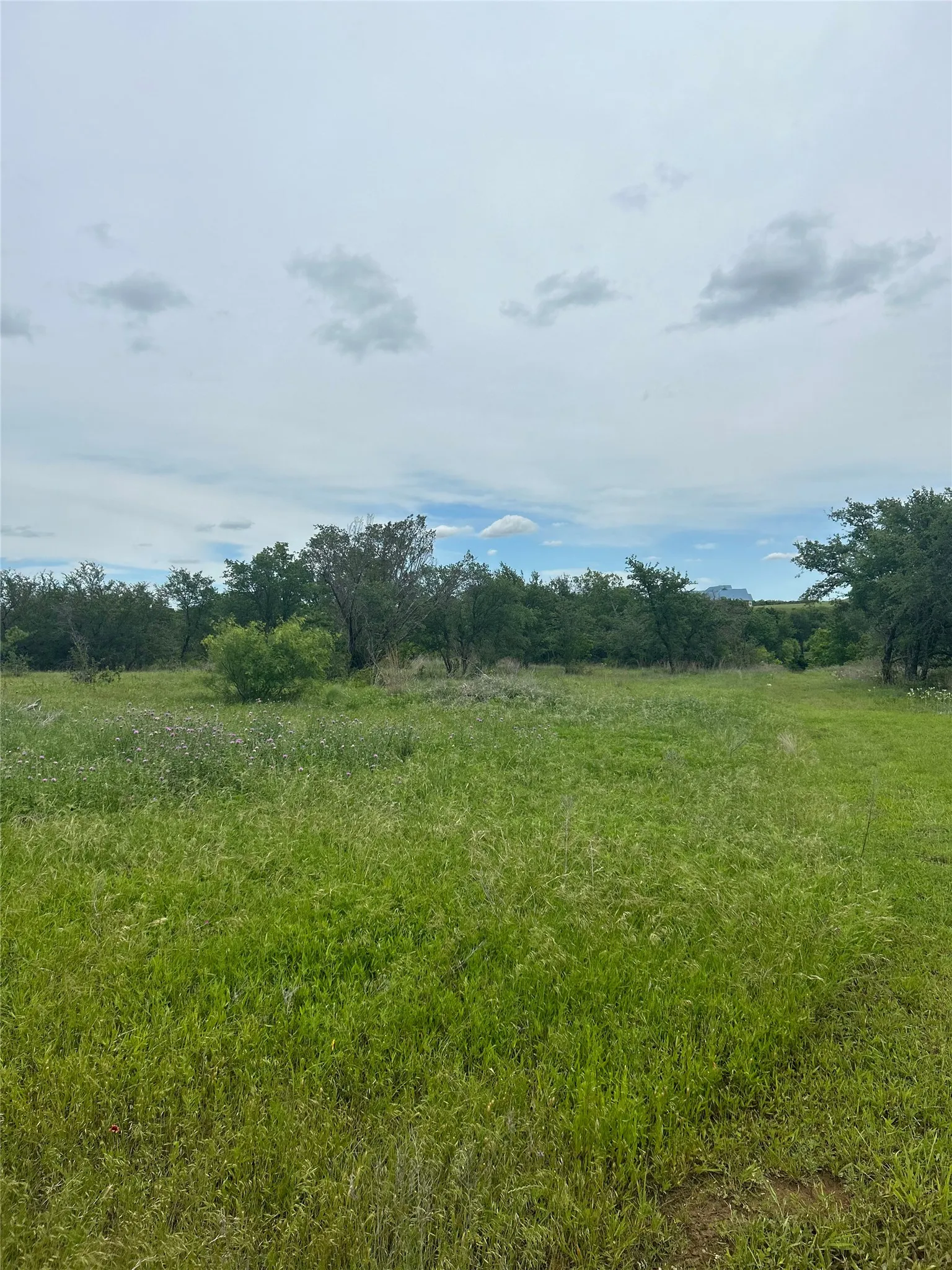 Unimproved Land For Sale in Erath County , TBD Round Up Court, Stephenville, Texas 76401, 0, 0, Garage spaces, 0 Sqft, built in 0, mls#21339683, Real Estate Agent in Stephenville, Homes For Sale in Erath county, Homes For Sale in Stephenville, Realtor in Stephenville Texas, Real Estate Brokerage Independent Realty Texas, Luminita Cordes Realtor