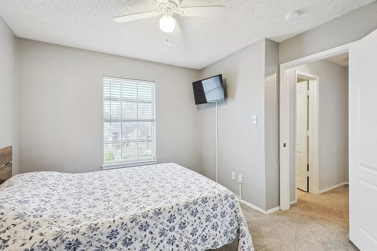 Carpeted room featuring a ceiling fan with light, single window with blinds, and painted walls