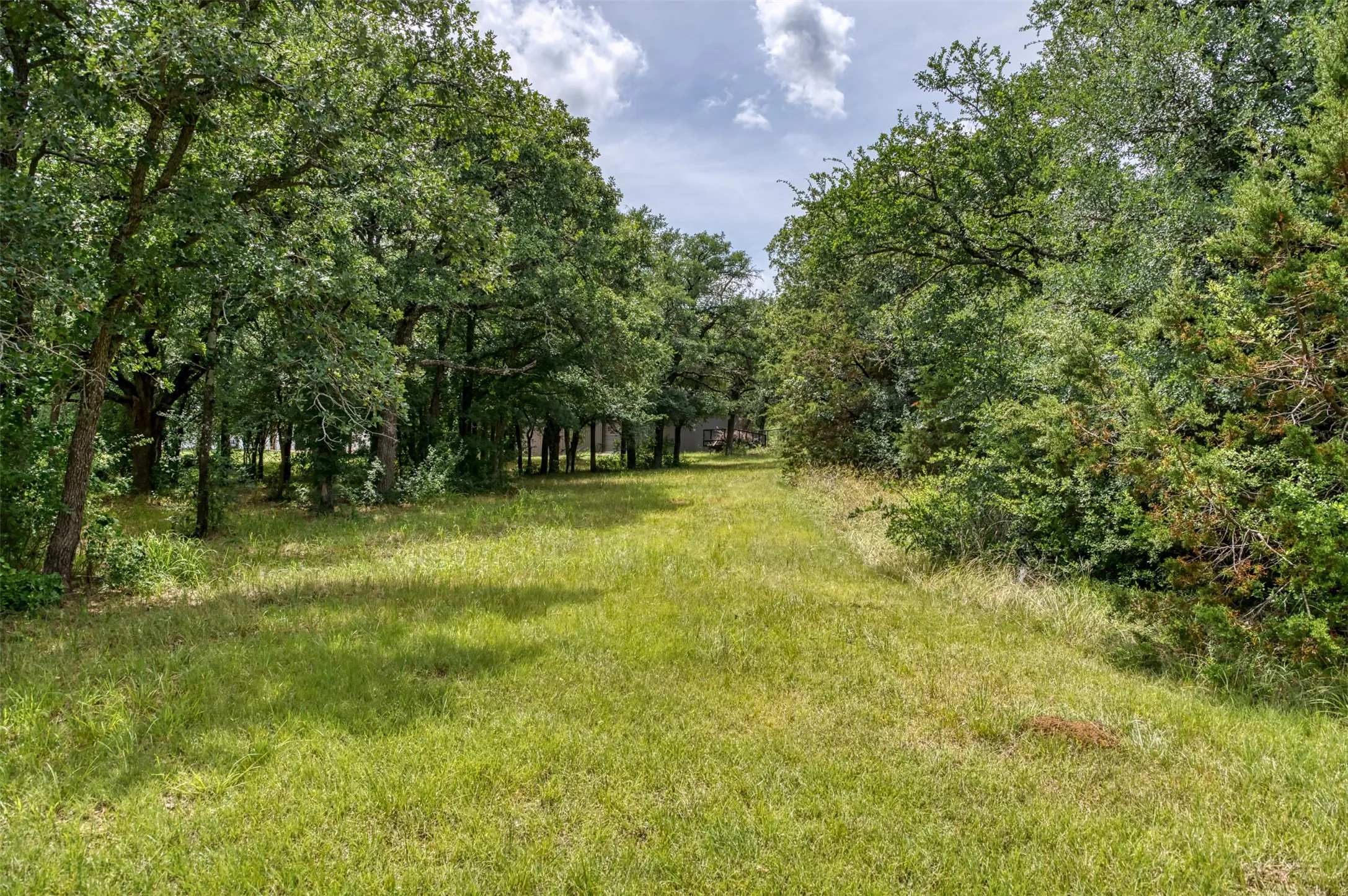 acreage betwwen property and front pasture.