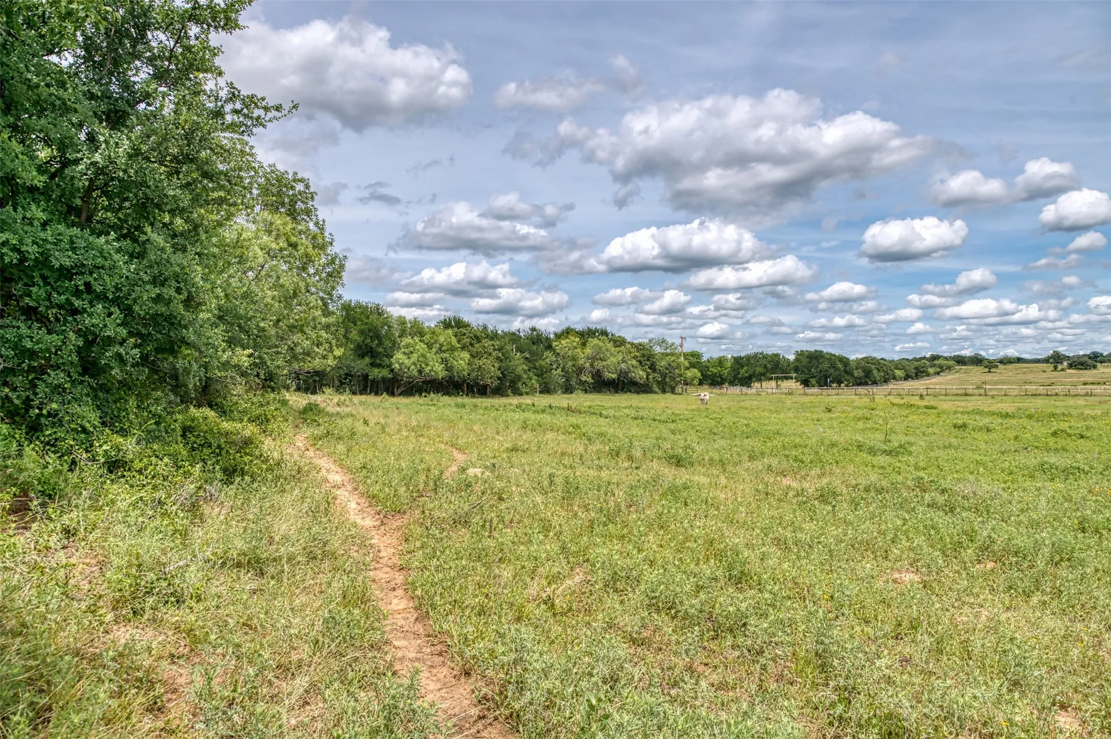 Front pasture/acreage.