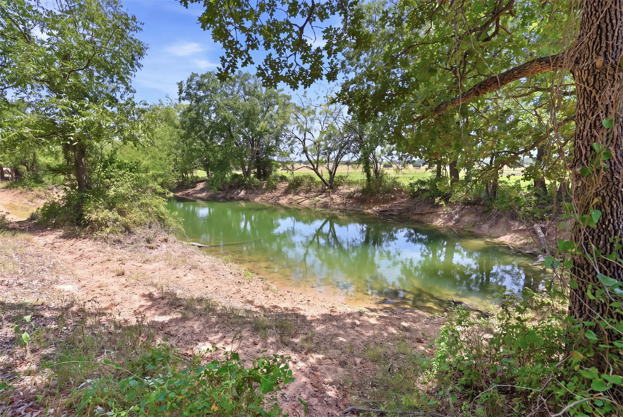Natural tank pond.