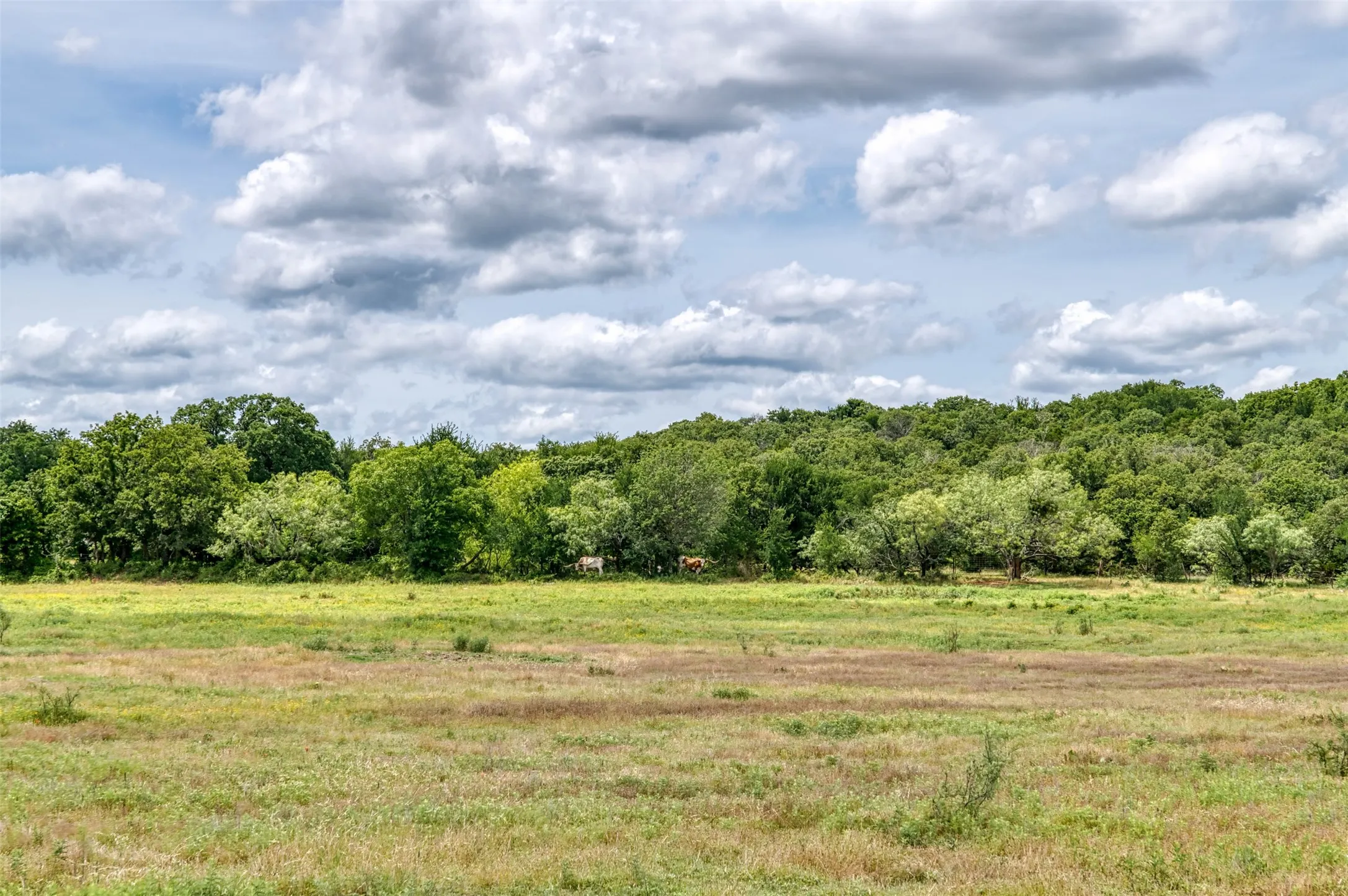 Front pasture/acreage.