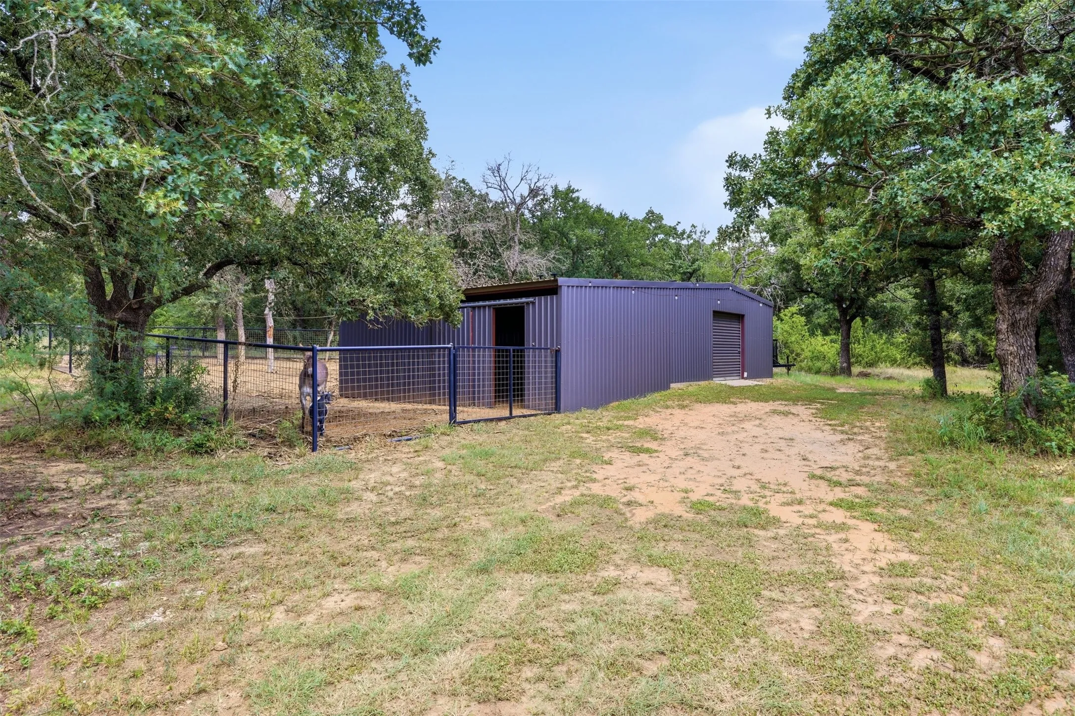 Two functional barns, one featuring a large attached top rail pipe and horse panel pen currently used for a goat and miniature donkey, providing excellent flexibility for a variety of livestock or agricultural uses.