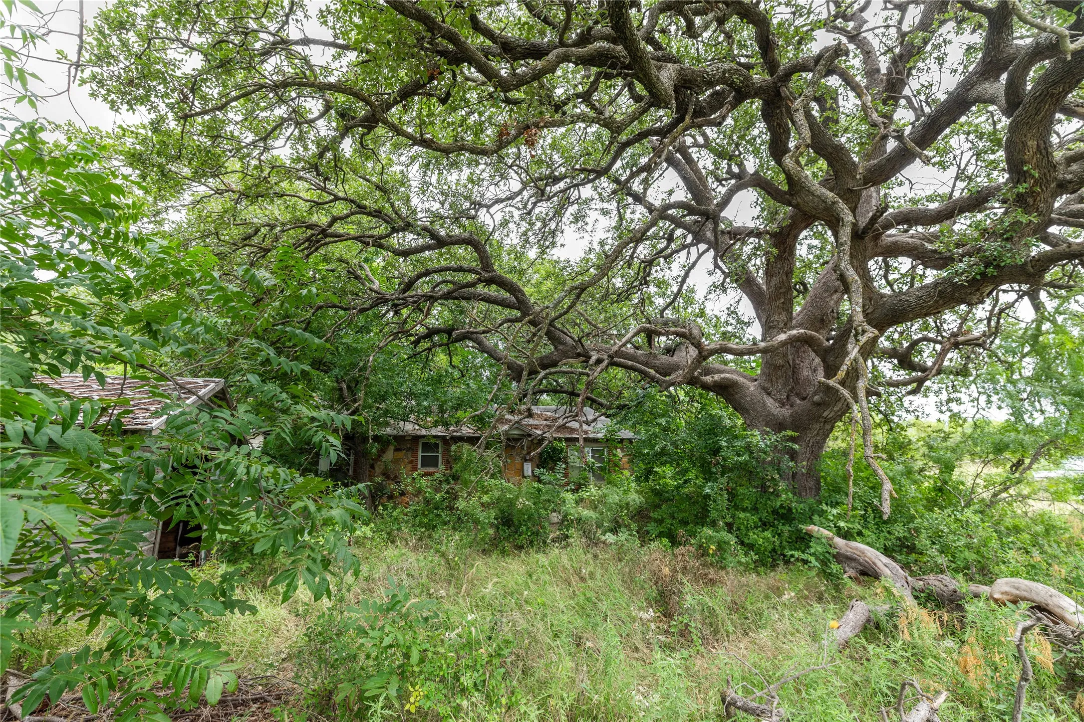 Unimproved Land For Sale in Brown County , 6000 lot 3 Fm 586 S, Bangs, Texas 76823, 0, 0, Garage spaces, 0 Sqft, built in 0, mls#21341800, Real Estate Agent in Bangs, Homes For Sale in Brown county, Homes For Sale in Bangs, Realtor in Bangs Texas, Real Estate Brokerage Independent Realty Texas, Luminita Cordes Realtor