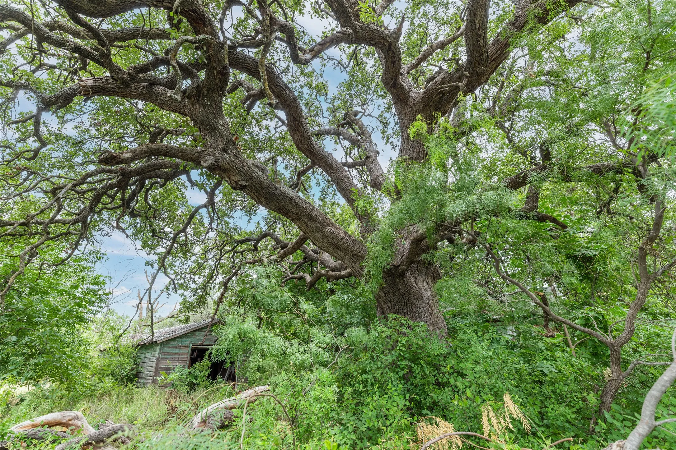 Unimproved Land For Sale in Brown County , 6000 lot 3 Fm 586 S, Bangs, Texas 76823, 0, 0, Garage spaces, 0 Sqft, built in 0, mls#21341800, Real Estate Agent in Bangs, Homes For Sale in Brown county, Homes For Sale in Bangs, Realtor in Bangs Texas, Real Estate Brokerage Independent Realty Texas, Luminita Cordes Realtor