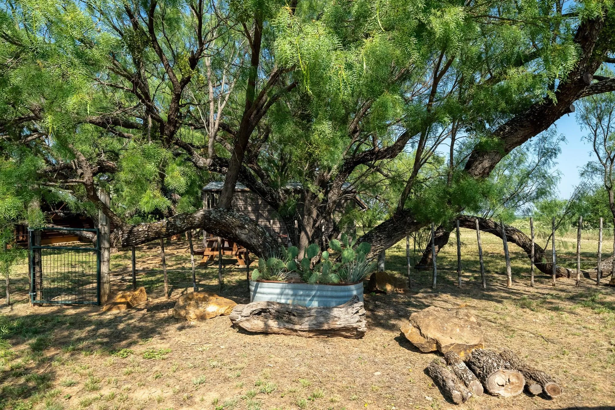 Ranch For Sale in Callahan County , 15055 County Road 306, Moran, Texas 76464, 0, 0, Garage spaces, 0 Sqft, built in 2006, mls#21341694, Real Estate Agent in Moran, Homes For Sale in Callahan county, Homes For Sale in Moran, Realtor in Moran Texas, Real Estate Brokerage Independent Realty Texas, Luminita Cordes Realtor