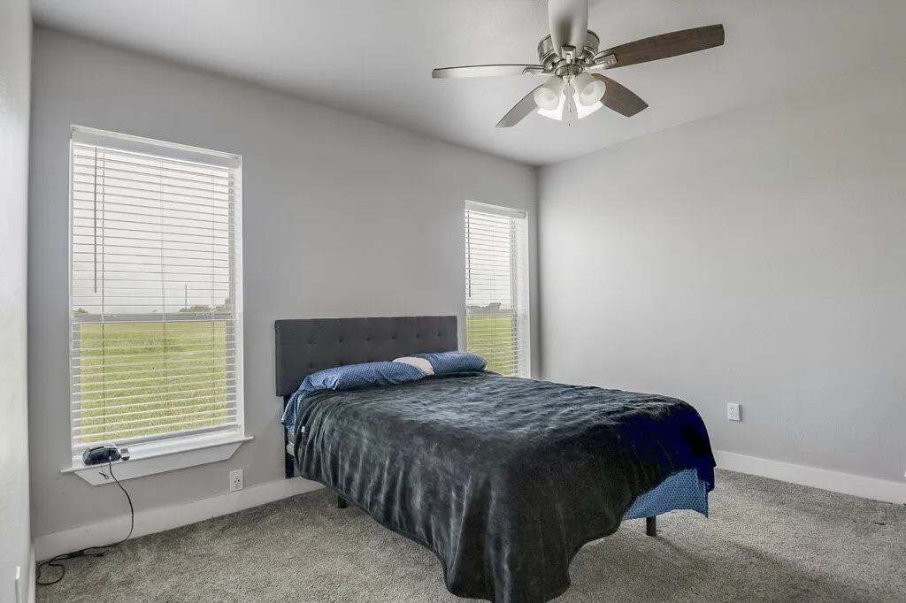Neutral gray wall tones with white trim, featuring two windows with horizontal blinds, gray carpeting, and a ceiling fan with integrated lighting