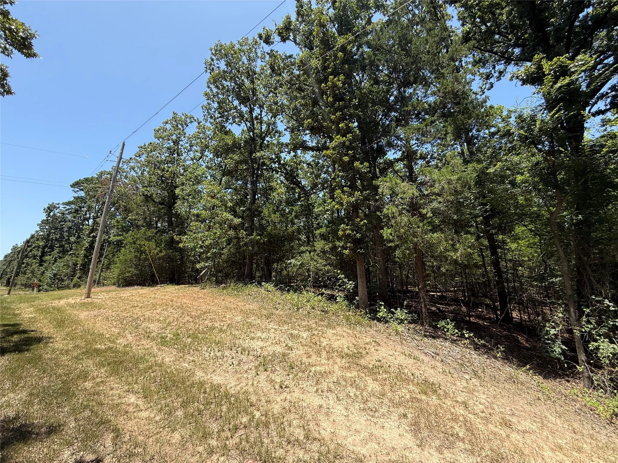 Unimproved Land For Sale in Franklin (TX) County , TBD Whispering Pine Trail, Mount Vernon, Texas 75457, 0, 0, Garage spaces, 0 Sqft, built in 0, Price $11,000, mls#21341840, Real Estate Agent in Mount Vernon, Homes For Sale in Franklin (TX) county, Homes For Sale in Mount Vernon, Realtor in Mount Vernon Texas, Real Estate Brokerage Independent Realty Texas, Luminita Cordes Realtor