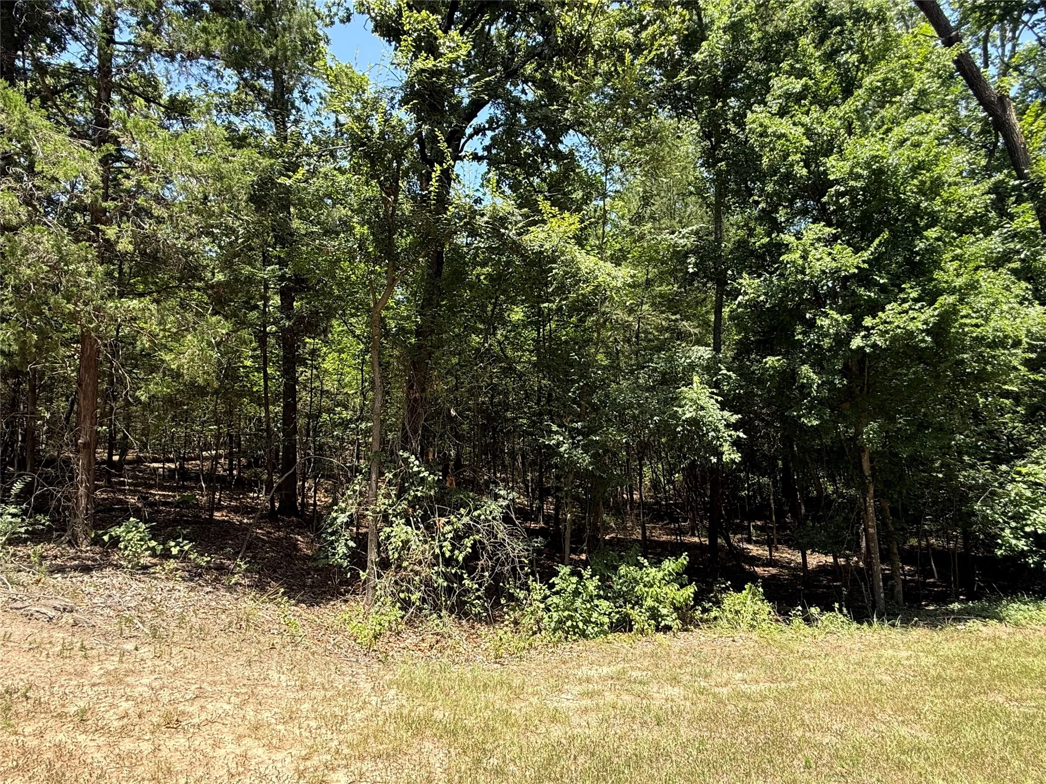 Unimproved Land For Sale in Franklin (TX) County , TBD Whispering Pine Trail, Mount Vernon, Texas 75457, 0, 0, Garage spaces, 0 Sqft, built in 0, Price $11,000, mls#21341850, Real Estate Agent in Mount Vernon, Homes For Sale in Franklin (TX) county, Homes For Sale in Mount Vernon, Realtor in Mount Vernon Texas, Real Estate Brokerage Independent Realty Texas, Luminita Cordes Realtor