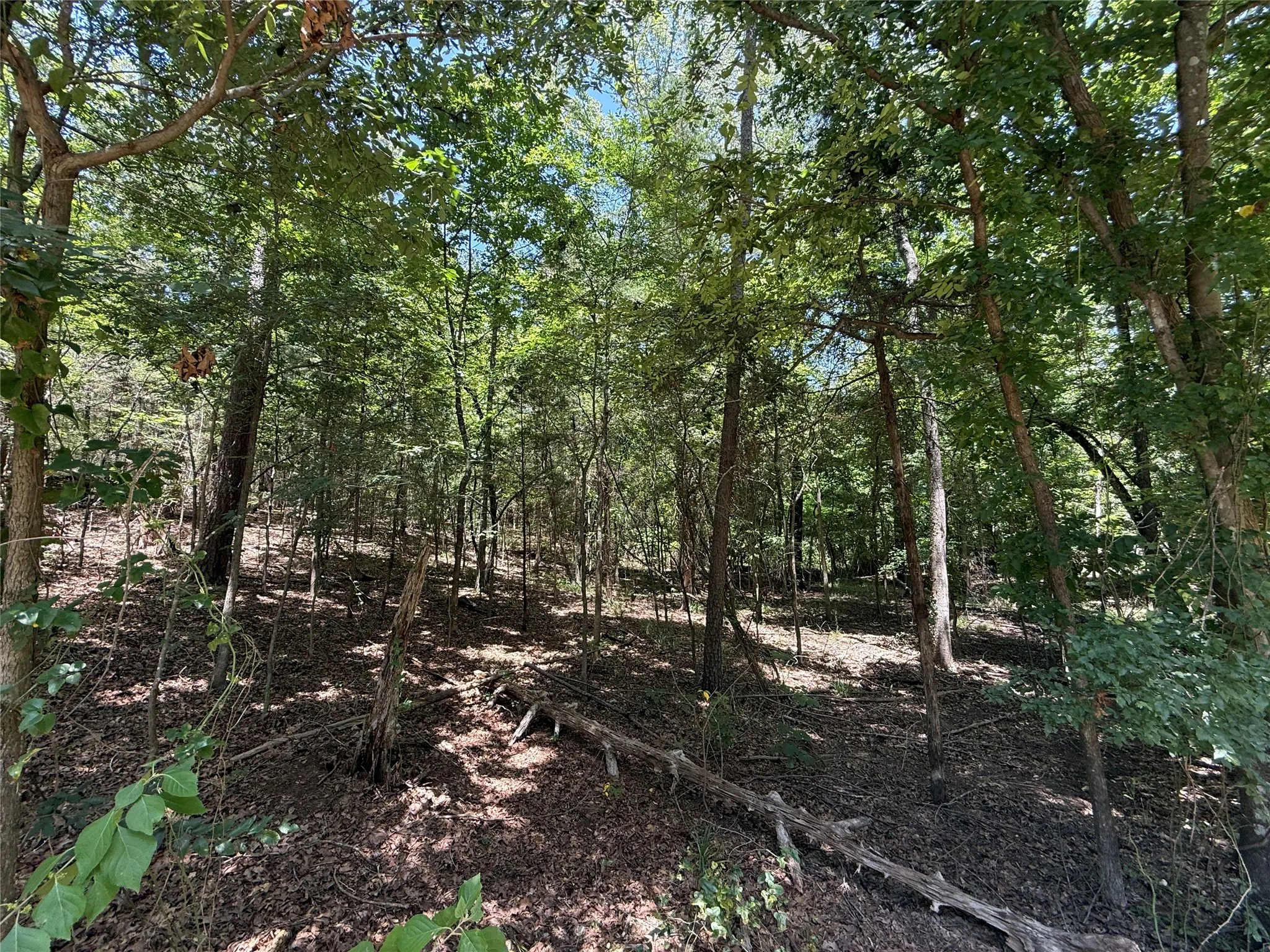 Unimproved Land For Sale in Franklin (TX) County , TBD Whispering Pine Trail, Mount Vernon, Texas 75457, 0, 0, Garage spaces, 0 Sqft, built in 0, Price $11,000, mls#21341850, Real Estate Agent in Mount Vernon, Homes For Sale in Franklin (TX) county, Homes For Sale in Mount Vernon, Realtor in Mount Vernon Texas, Real Estate Brokerage Independent Realty Texas, Luminita Cordes Realtor