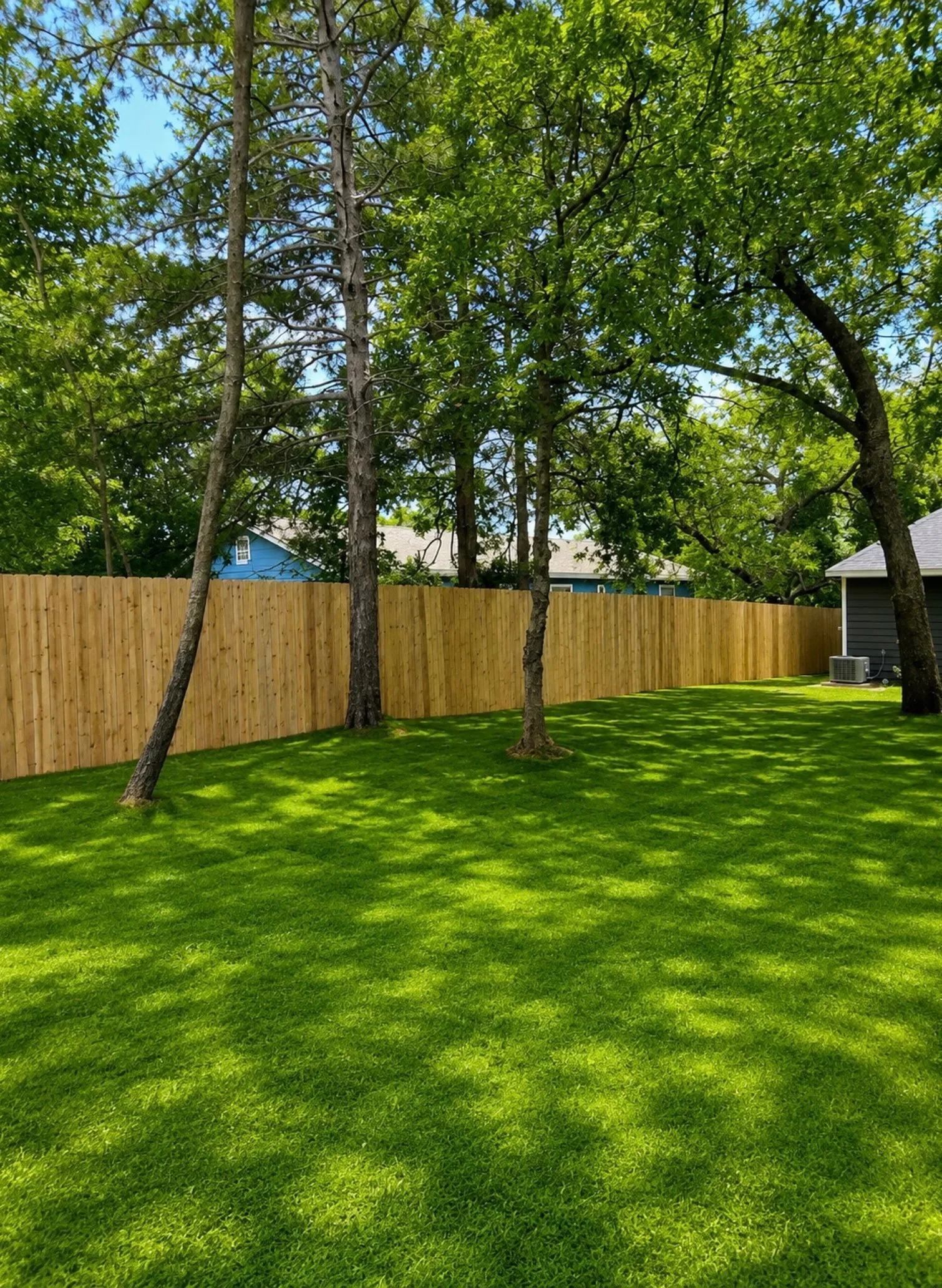 Spacious backyard featuring a vibrant green lawn, mature trees, and a new privacy fence
