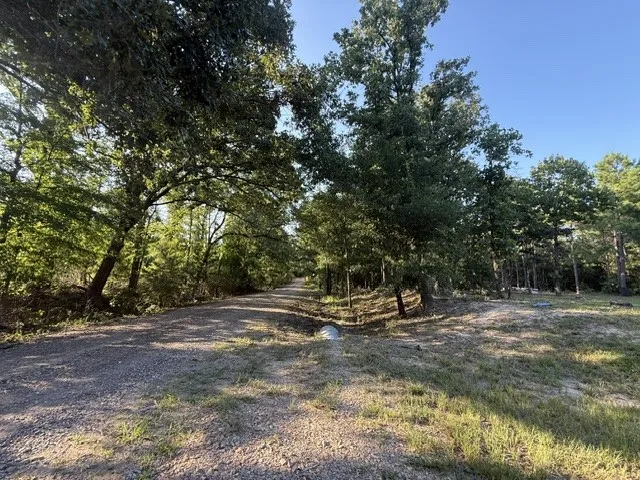Unimproved Land For Sale in Red River (TX) County , 111 CR 1275, Clarksville, Texas 75426, 0, 0, Garage spaces, 0 Sqft, built in 2023, mls#21341875, Real Estate Agent in Clarksville, Homes For Sale in Red River (TX) county, Homes For Sale in Clarksville, Realtor in Clarksville Texas, Real Estate Brokerage Independent Realty Texas, Luminita Cordes Realtor