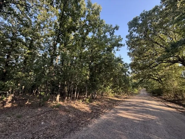 Unimproved Land For Sale in Red River (TX) County , 111 CR 1275, Clarksville, Texas 75426, 0, 0, Garage spaces, 0 Sqft, built in 2023, mls#21341875, Real Estate Agent in Clarksville, Homes For Sale in Red River (TX) county, Homes For Sale in Clarksville, Realtor in Clarksville Texas, Real Estate Brokerage Independent Realty Texas, Luminita Cordes Realtor