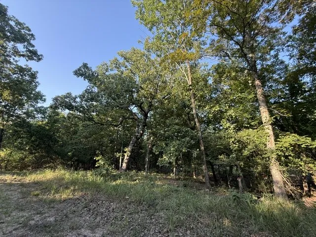 Unimproved Land For Sale in Red River (TX) County , 111 CR 1275, Clarksville, Texas 75426, 0, 0, Garage spaces, 0 Sqft, built in 2023, mls#21341875, Real Estate Agent in Clarksville, Homes For Sale in Red River (TX) county, Homes For Sale in Clarksville, Realtor in Clarksville Texas, Real Estate Brokerage Independent Realty Texas, Luminita Cordes Realtor