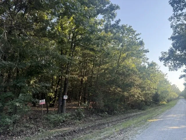 Unimproved Land For Sale in Red River (TX) County , 111 CR 1275, Clarksville, Texas 75426, 0, 0, Garage spaces, 0 Sqft, built in 2023, mls#21341875, Real Estate Agent in Clarksville, Homes For Sale in Red River (TX) county, Homes For Sale in Clarksville, Realtor in Clarksville Texas, Real Estate Brokerage Independent Realty Texas, Luminita Cordes Realtor