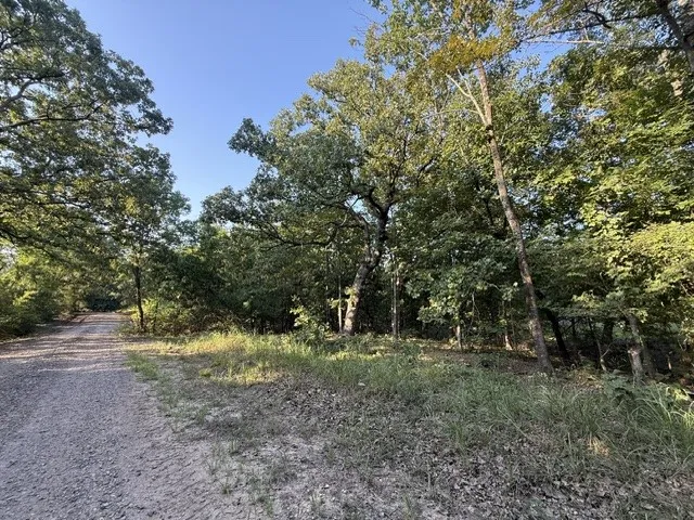Unimproved Land For Sale in Red River (TX) County , 111 CR 1275, Clarksville, Texas 75426, 0, 0, Garage spaces, 0 Sqft, built in 2023, mls#21341875, Real Estate Agent in Clarksville, Homes For Sale in Red River (TX) county, Homes For Sale in Clarksville, Realtor in Clarksville Texas, Real Estate Brokerage Independent Realty Texas, Luminita Cordes Realtor