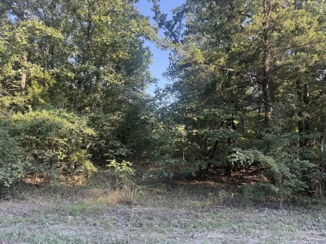 Unimproved Land For Sale in Red River (TX) County , 111 CR 1275, Clarksville, Texas 75426, 0, 0, Garage spaces, 0 Sqft, built in 2023, mls#21341875, Real Estate Agent in Clarksville, Homes For Sale in Red River (TX) county, Homes For Sale in Clarksville, Realtor in Clarksville Texas, Real Estate Brokerage Independent Realty Texas, Luminita Cordes Realtor
