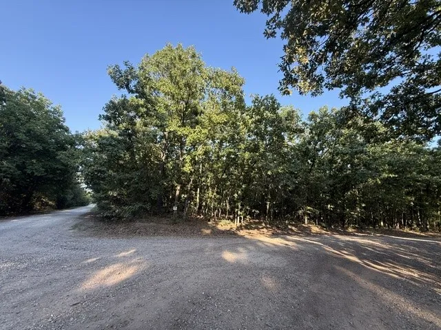 Unimproved Land For Sale in Red River (TX) County , 111 CR 1275, Clarksville, Texas 75426, 0, 0, Garage spaces, 0 Sqft, built in 2023, mls#21341875, Real Estate Agent in Clarksville, Homes For Sale in Red River (TX) county, Homes For Sale in Clarksville, Realtor in Clarksville Texas, Real Estate Brokerage Independent Realty Texas, Luminita Cordes Realtor