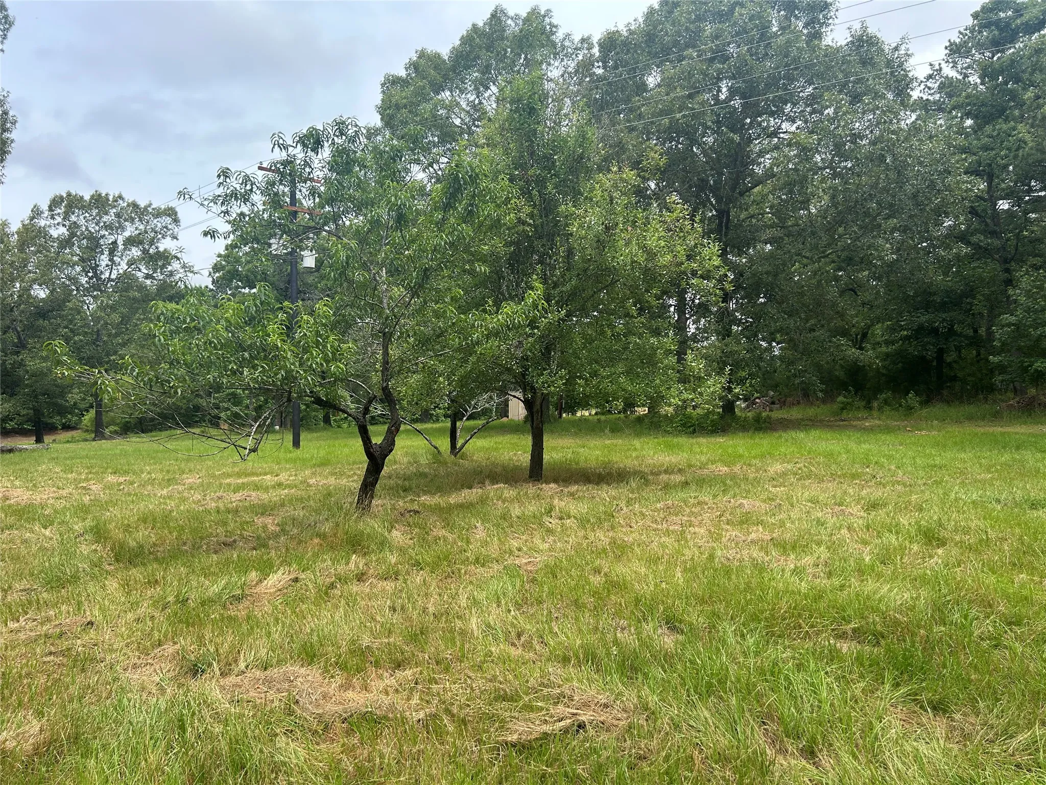 Manufactured Home For Sale in Van Zandt County , 895 VZ CR 4917, Ben Wheeler, Texas 75754, 2 Bedroom, 2 Bathroom, Garage spaces, 1,248 Sqft, built in 1977, mls#21315843, Real Estate Agent in Ben Wheeler, Homes For Sale in Van Zandt county, Homes For Sale in Ben Wheeler, Realtor in Ben Wheeler Texas, Real Estate Brokerage Independent Realty Texas, Luminita Cordes Realtor