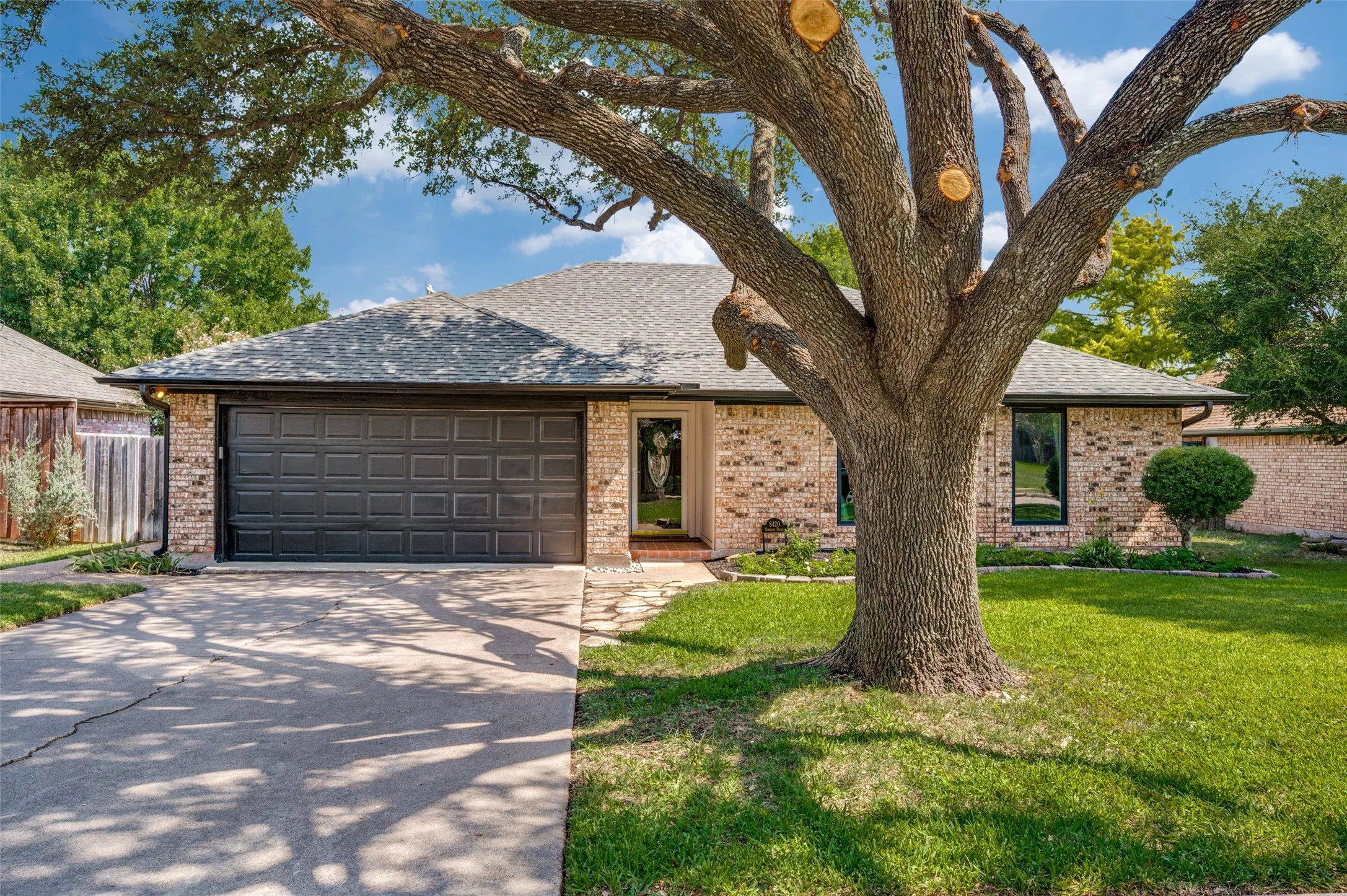 Mature Tree for front shade
