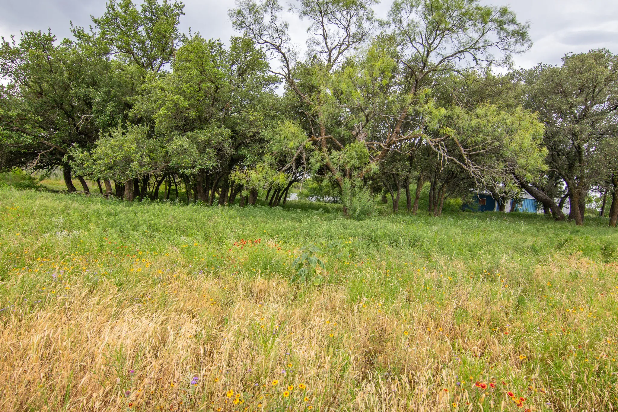Farm For Sale in Brown County , 6187 FM 586 S, Bangs, Texas 76823, 4 Bedroom, 3 Bathroom, 2 Garage spaces, 3,405 Sqft, built in 2007, mls#21341936, Real Estate Agent in Bangs, Homes For Sale in Brown county, Homes For Sale in Bangs, Realtor in Bangs Texas, Real Estate Brokerage Independent Realty Texas, Luminita Cordes Realtor