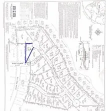 Unimproved Land For Sale in Hood County , 2305 Candlestick Drive, Granbury, Texas 76049, 0, 0, Garage spaces, 0 Sqft, built in 0, Price $99,000, mls#21341963, Real Estate Agent in Granbury, Homes For Sale in Hood county, Homes For Sale in Granbury, Realtor in Granbury Texas, Real Estate Brokerage Independent Realty Texas, Luminita Cordes Realtor