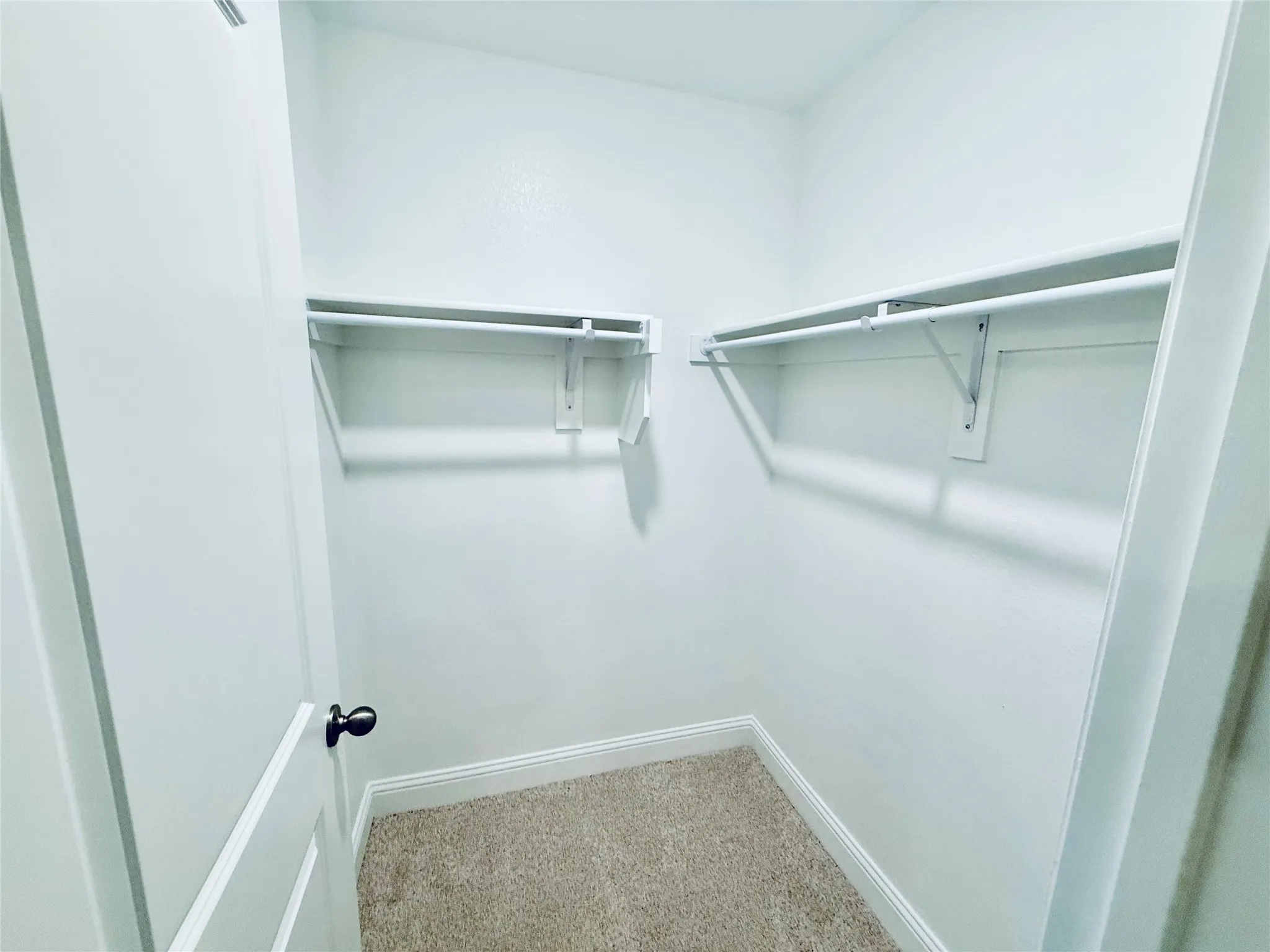 Walk-in closet with beige carpeting, white walls, and built-in white shelving and hanging rods