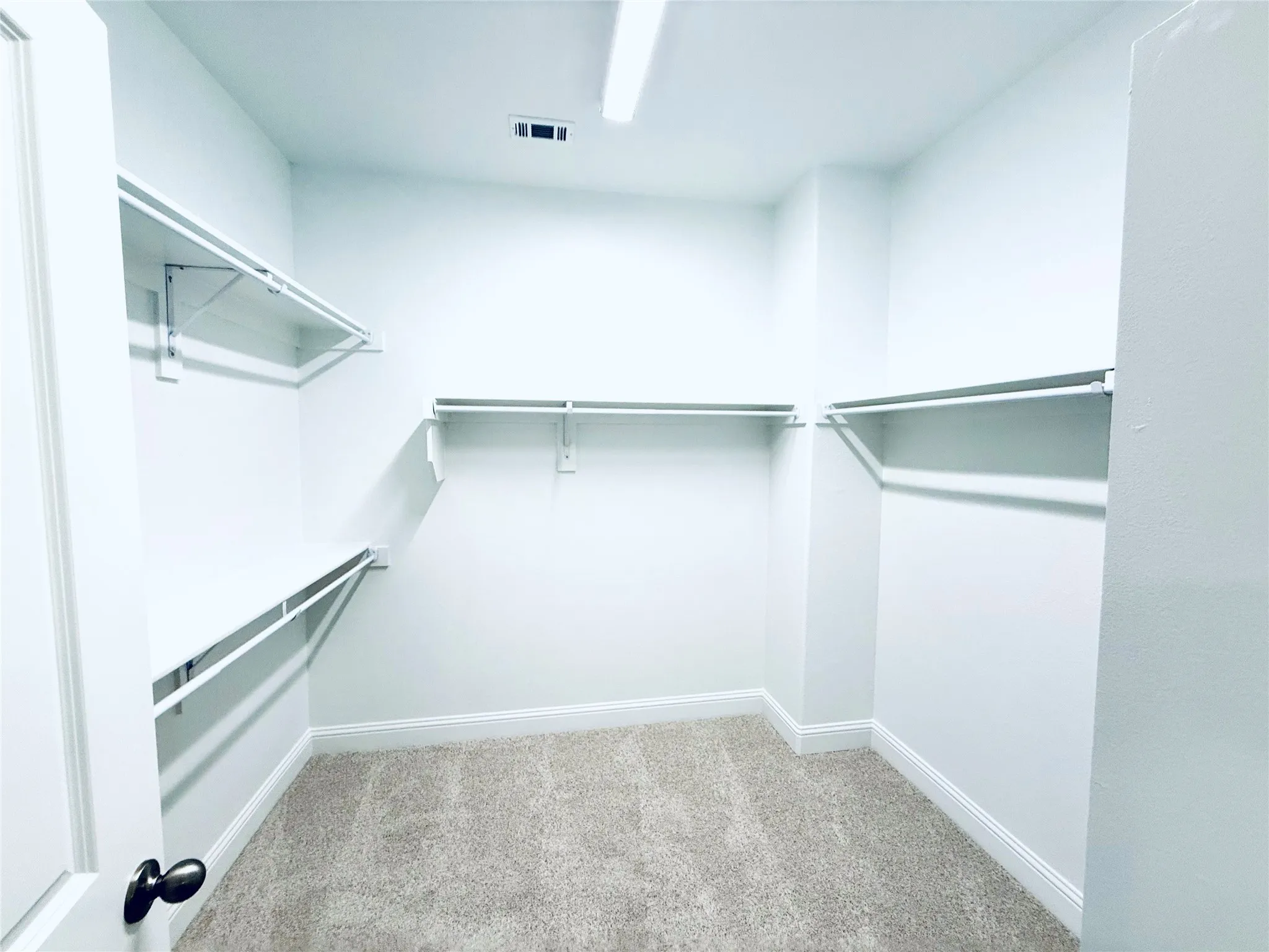 Expansive walk-in closet featuring white walls, light-colored carpet flooring, and extensive built-in shelving and hanging rods