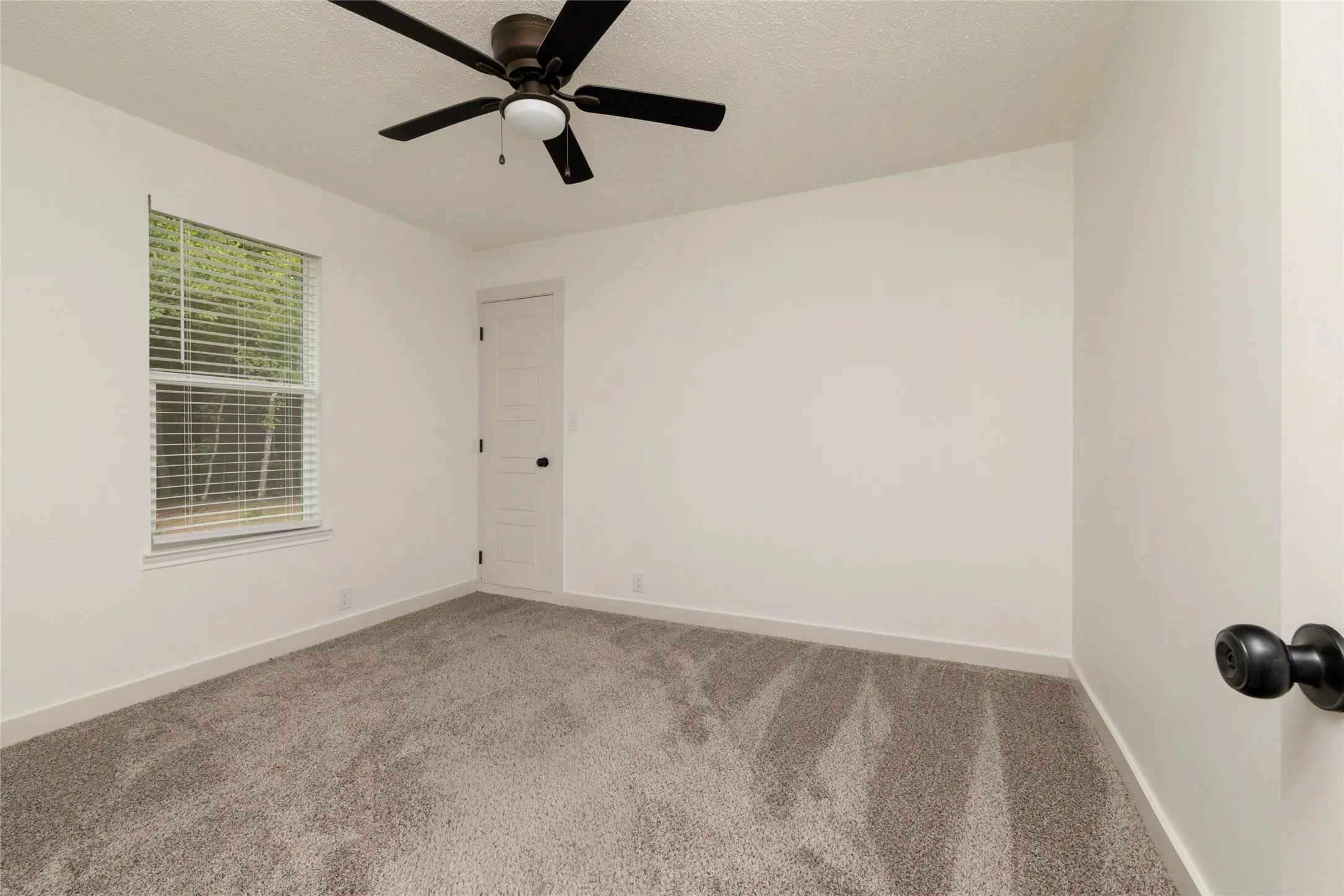 Carpeted room with a ceiling fan, a window with blinds, and a paneled door with a black knob