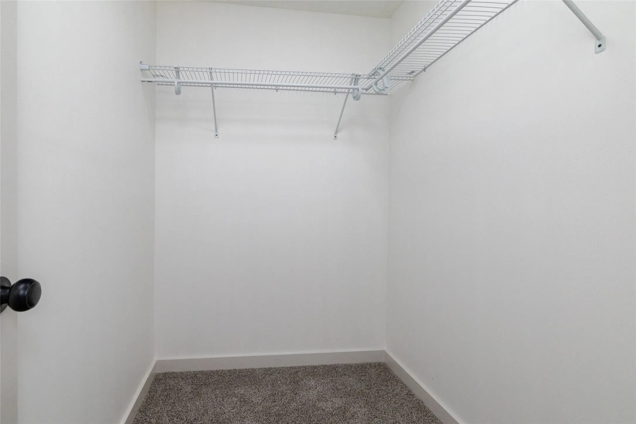 Walk-in closet with L-shaped wire shelving, white painted walls, gray baseboards, and gray carpeting