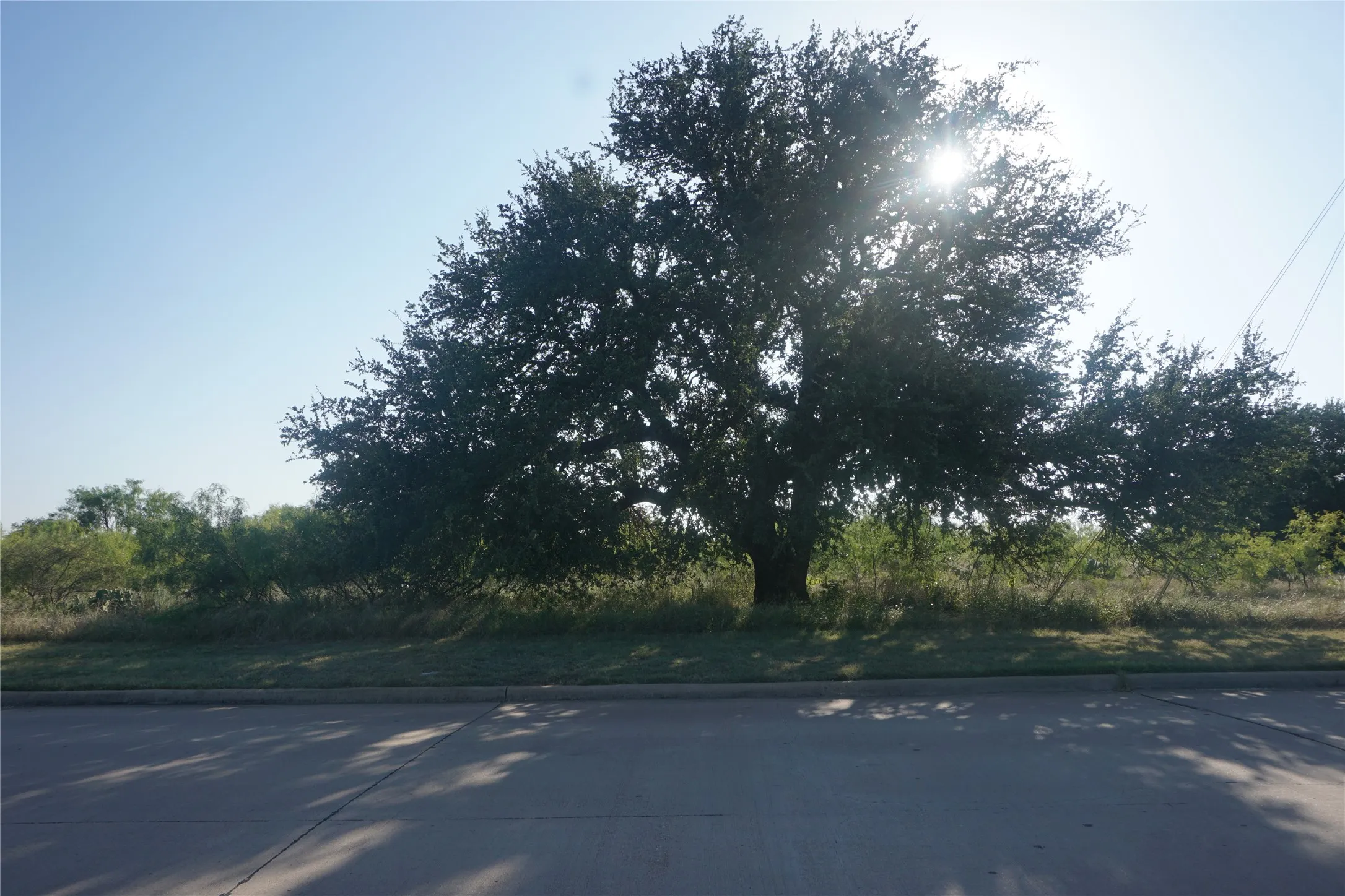 Large oak tree on the other end of the lot- street side - helps in determining approximate boundaries of the property.