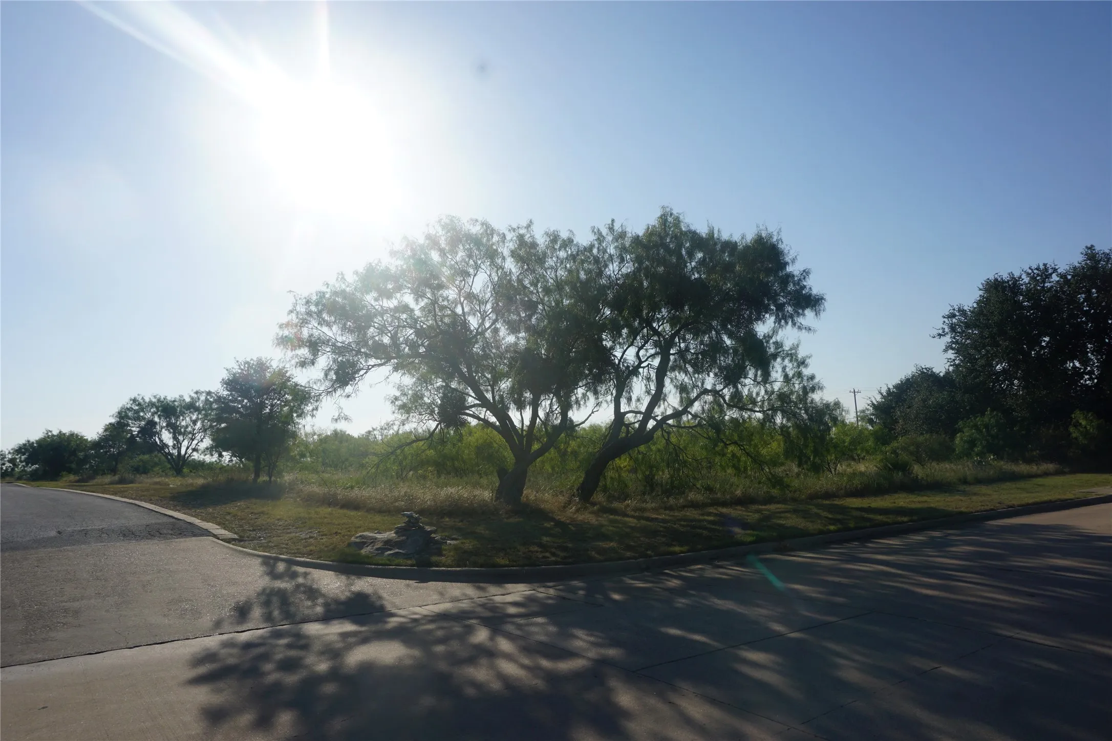 Large Mesquite tree on the corner of Spyglass and Cliffs Drive for identification of the lot.