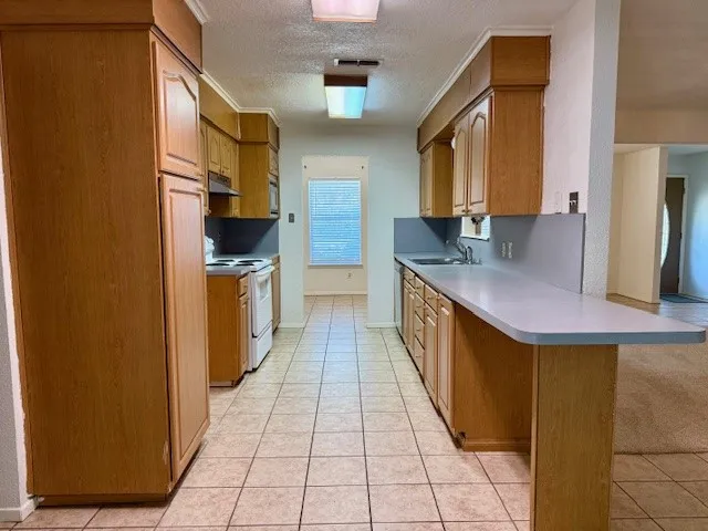 Single Family Residence For Rent in Tarrant County , 3820 Sagebrush Road, Benbrook, Texas 76116, 3 Bedroom, 2 Bathroom, 2 Garage spaces, 1,631 Sqft, built in 1967, mls#21325859, Real Estate Agent in Benbrook, Homes For Rent in Tarrant county, Homes For Rent in Benbrook, Realtor in Benbrook Texas, Real Estate Brokerage Independent Realty Texas, Luminita Cordes Realtor