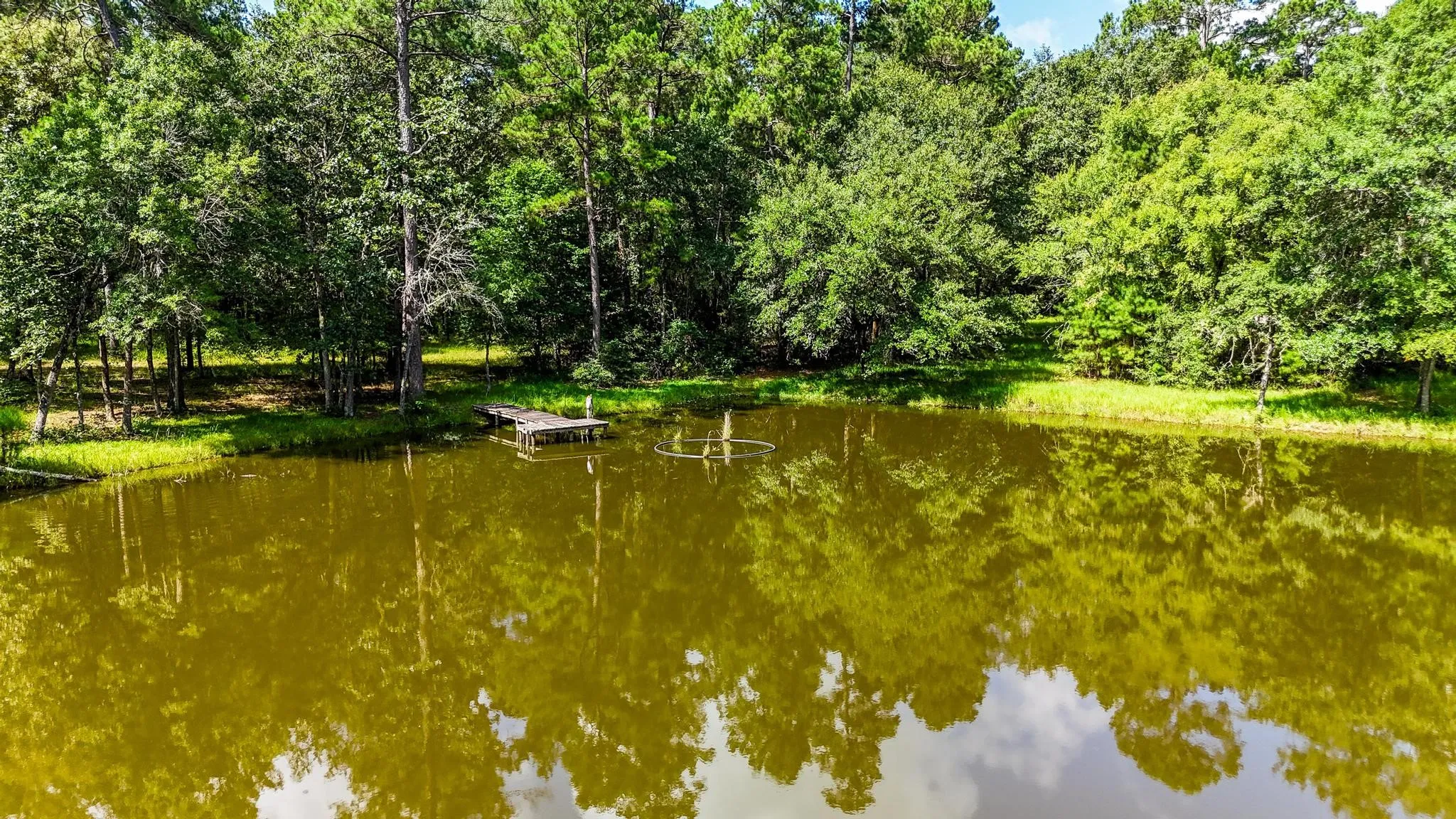 Single Family Residence For Sale in Grimes County , 19359 Forest Road 219, Richards, Texas 77873, 3 Bedroom, 2 Bathroom, Garage spaces, 1,699 Sqft, built in 1978, mls#21342015, Real Estate Agent in Richards, Homes For Sale in Grimes county, Homes For Sale in Richards, Realtor in Richards Texas, Real Estate Brokerage Independent Realty Texas, Luminita Cordes Realtor