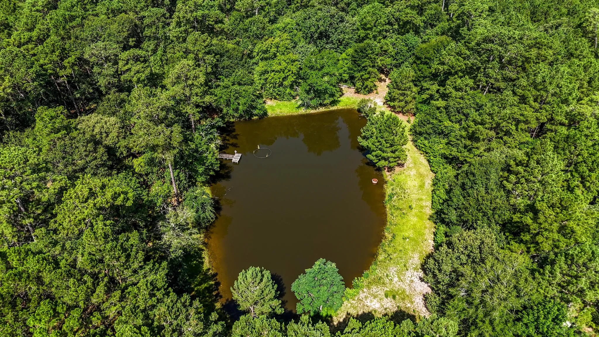 Single Family Residence For Sale in Grimes County , 19359 Forest Road 219, Richards, Texas 77873, 3 Bedroom, 2 Bathroom, Garage spaces, 1,699 Sqft, built in 1978, mls#21342015, Real Estate Agent in Richards, Homes For Sale in Grimes county, Homes For Sale in Richards, Realtor in Richards Texas, Real Estate Brokerage Independent Realty Texas, Luminita Cordes Realtor