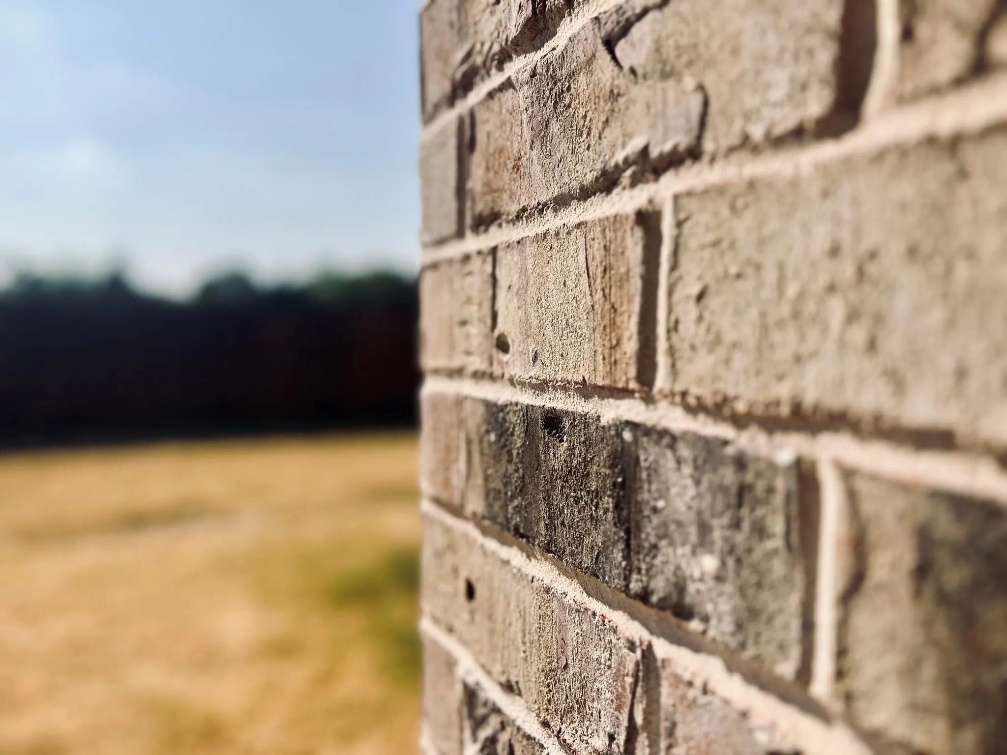 Duplex For Rent in Grayson County , 617 N Friendship Road, Sherman, Texas 75092, 3 Bedroom, 2 Bathroom, 2 Garage spaces, 1,560 Sqft, built in 2023, mls#21338837, Real Estate Agent in Sherman, Homes For Rent in Grayson county, Homes For Rent in Sherman, Realtor in Sherman Texas, Real Estate Brokerage Independent Realty Texas, Luminita Cordes Realtor