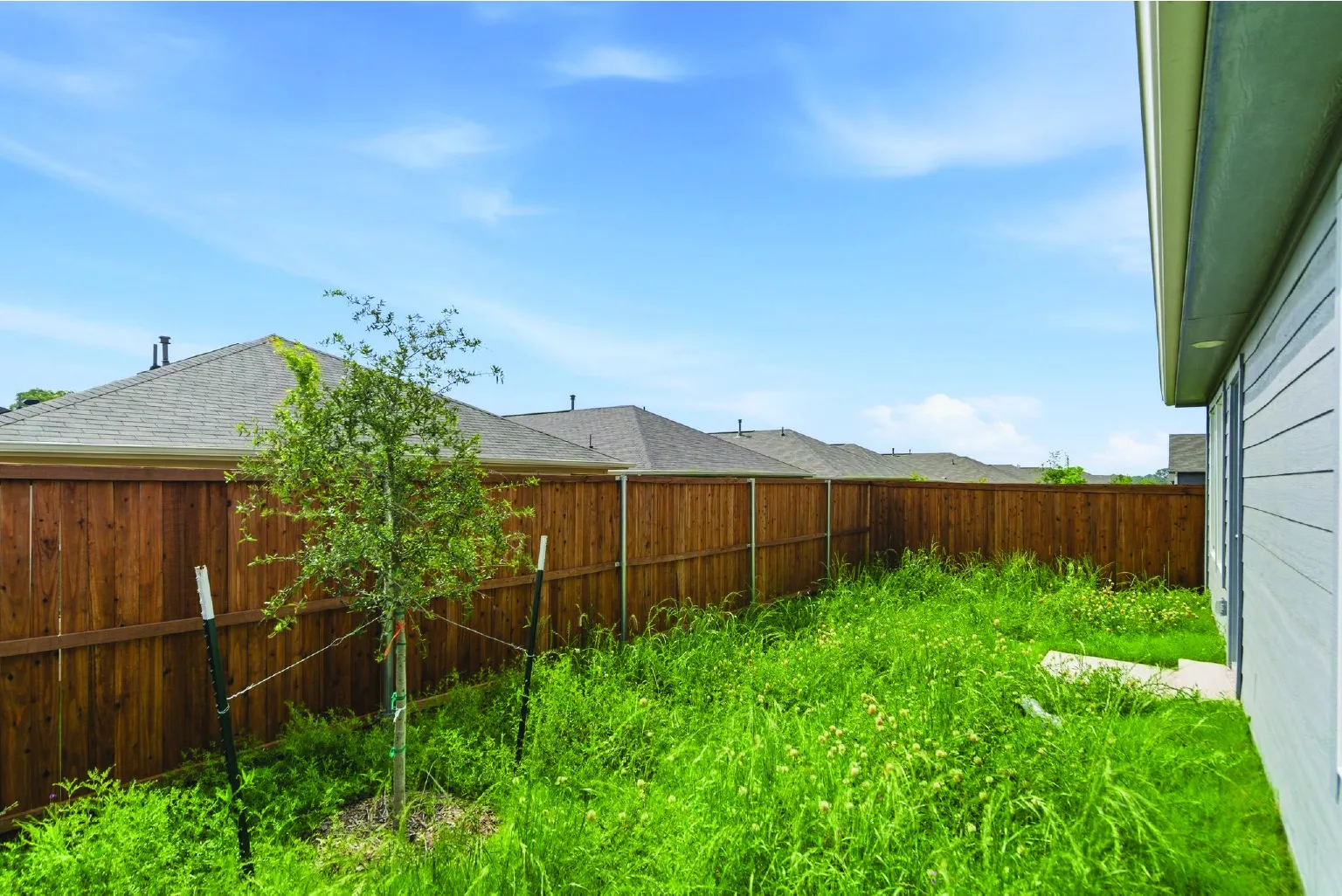 Single Family Residence For Rent in Denton County , 3120 Burmese Street, Providence Village, Texas 76227, 4 Bedrooms, 2 Bathrooms, 2 Garage spaces, 1,660 Sqft, built in 2025, Price $2,400, mls#21342039, Real Estate Agent in Providence Village, Homes For Rent in Denton county, Homes For Rent in Providence Village, Realtor in Providence Village Texas, Real Estate Brokerage Independent Realty Texas, Luminita Cordes Realtor