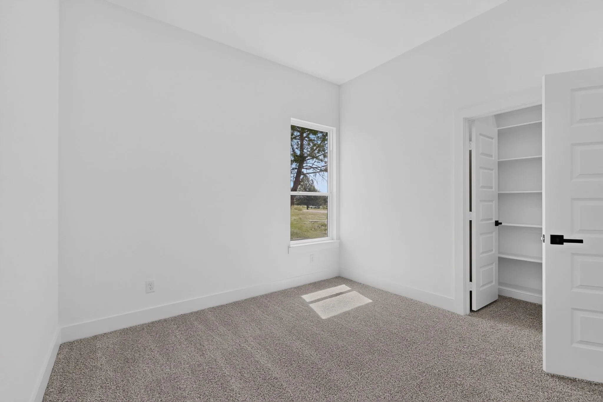 Carpeted room featuring a single window, white walls, and a closet with a five-panel door and built-in shelving