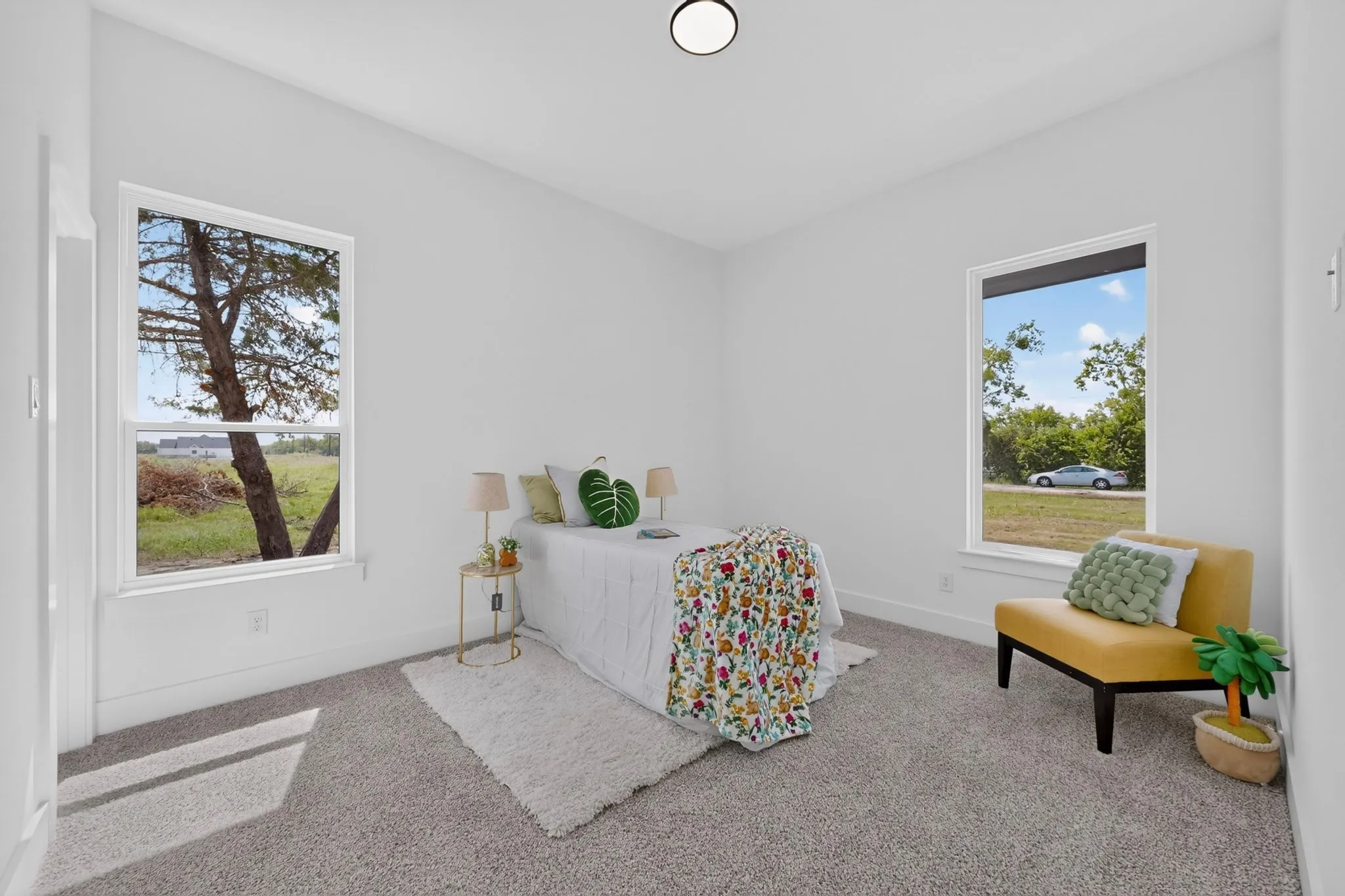 Carpeted room featuring two large windows with white trim, white walls, and a ceiling-mounted light fixture