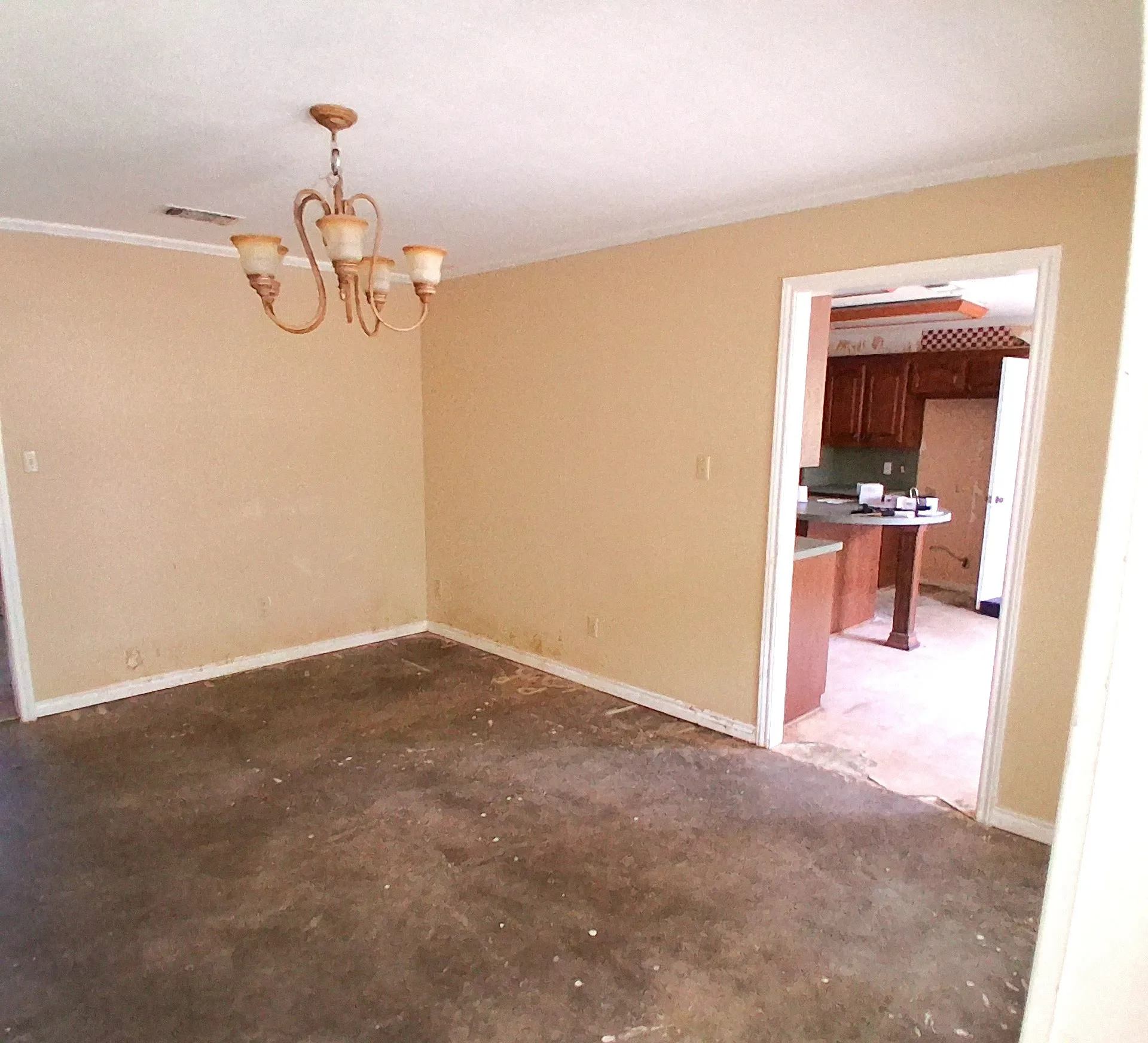 Single Family Residence For Sale in Hunt County , 319 Jamie Way, Greenville, Texas 75402, 4 Bedroom, 2 Bathroom, 2 Garage spaces, 2,217 Sqft, built in 1983, mls#21338252, Real Estate Agent in Greenville, Homes For Sale in Hunt county, Homes For Sale in Greenville, Realtor in Greenville Texas, Real Estate Brokerage Independent Realty Texas, Luminita Cordes Realtor