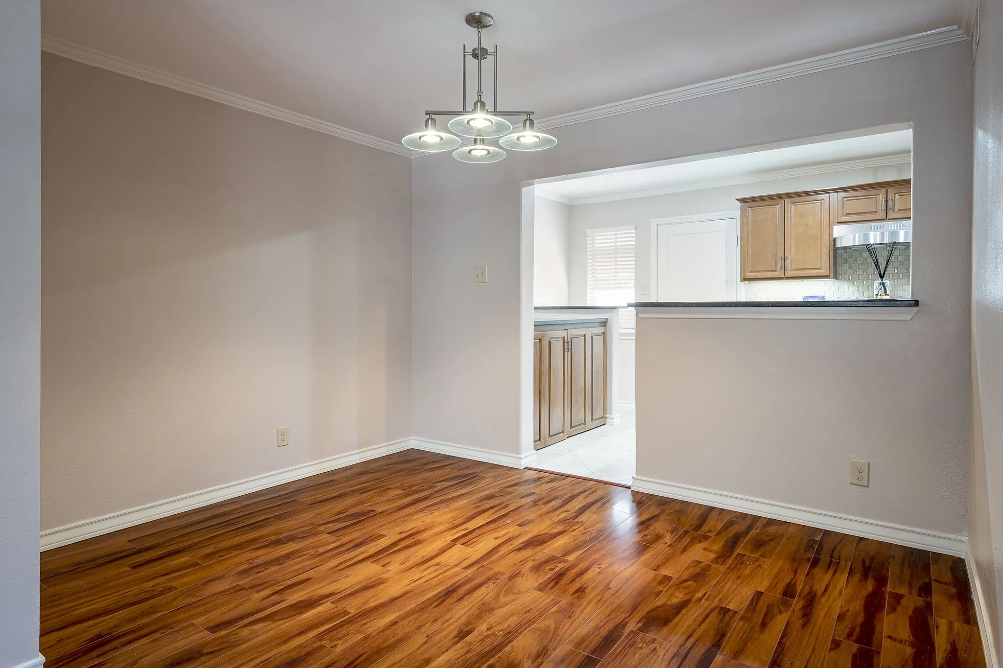 Primary bedroom with wood floors, crown molding, and plenty of natural light