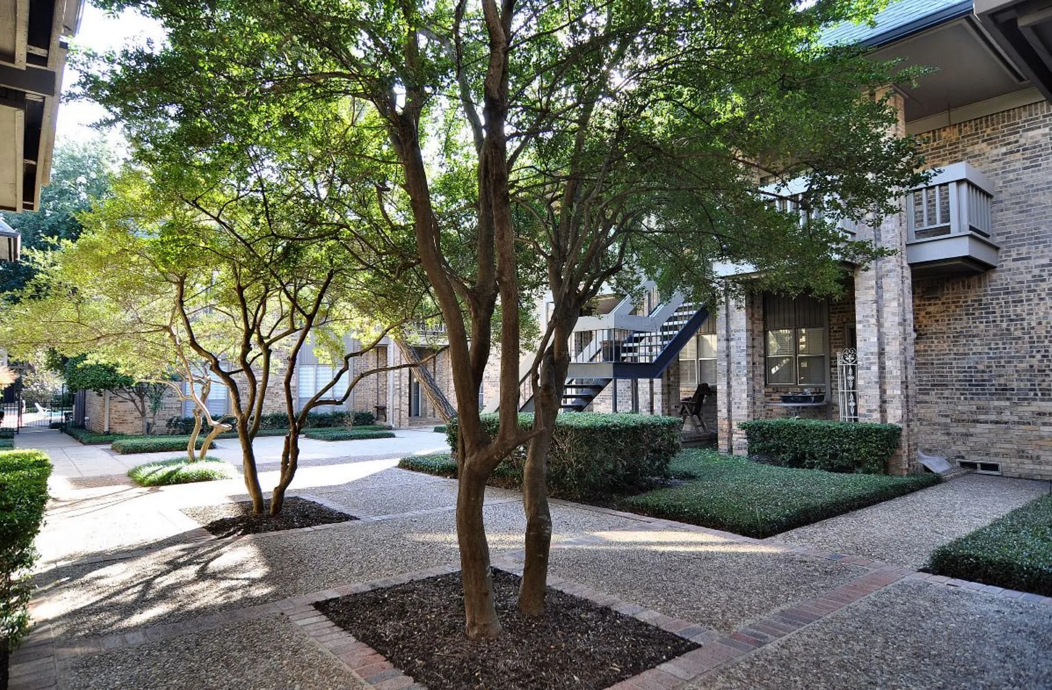 Beautifully landscaped courtyard