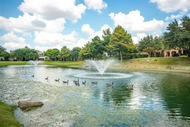 Single Family Residence For Rent in Collin County , 40 Emerald Pond Drive, Frisco, Texas 75034, 4 Bedroom, 4 Bathroom, 2 Garage spaces, 3,340 Sqft, built in 2002, mls#21342134, Real Estate Agent in Frisco, Homes For Rent in Collin county, Homes For Rent in Frisco, Realtor in Frisco Texas, Real Estate Brokerage Independent Realty Texas, Luminita Cordes Realtor