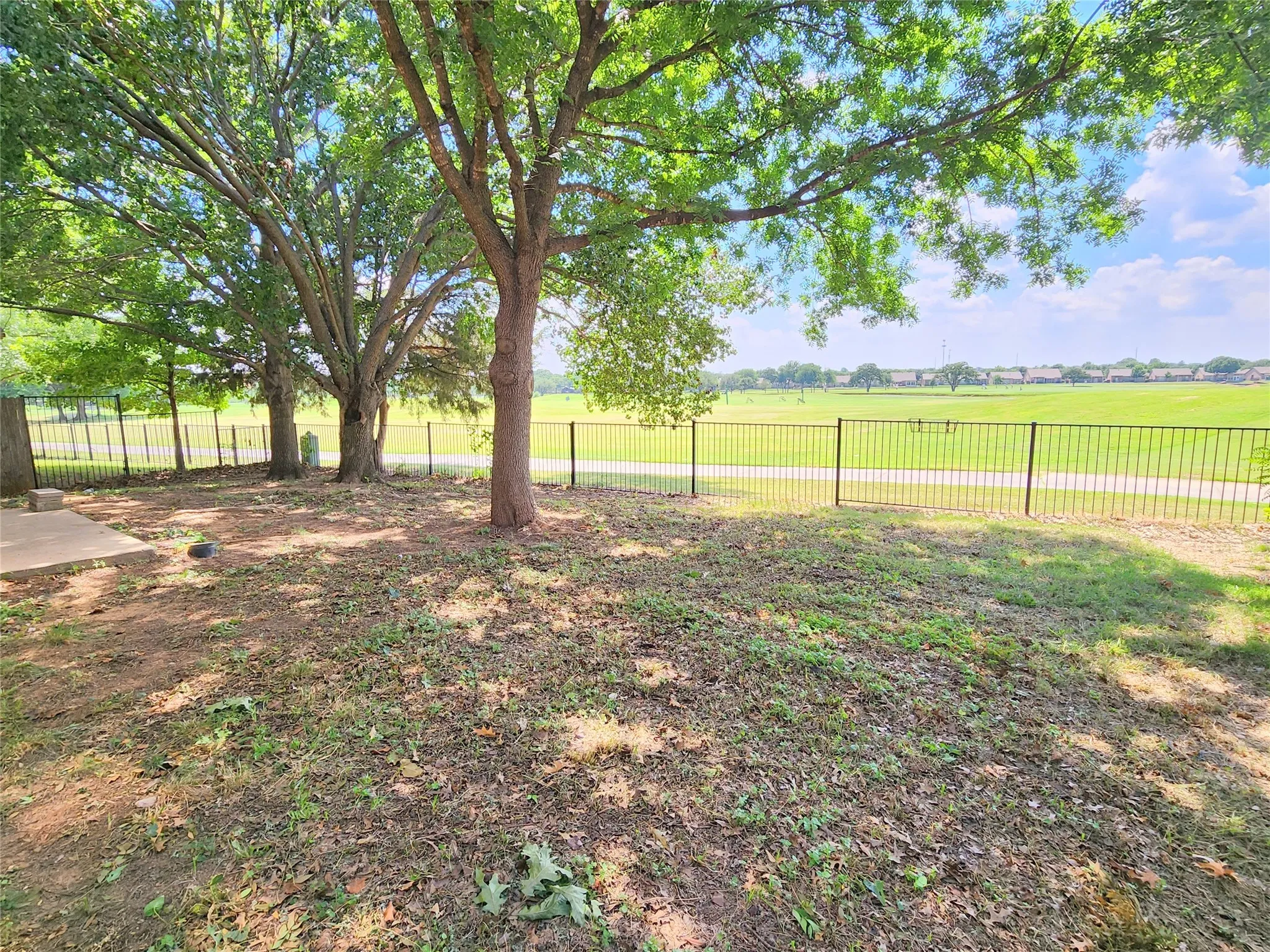 Backyard