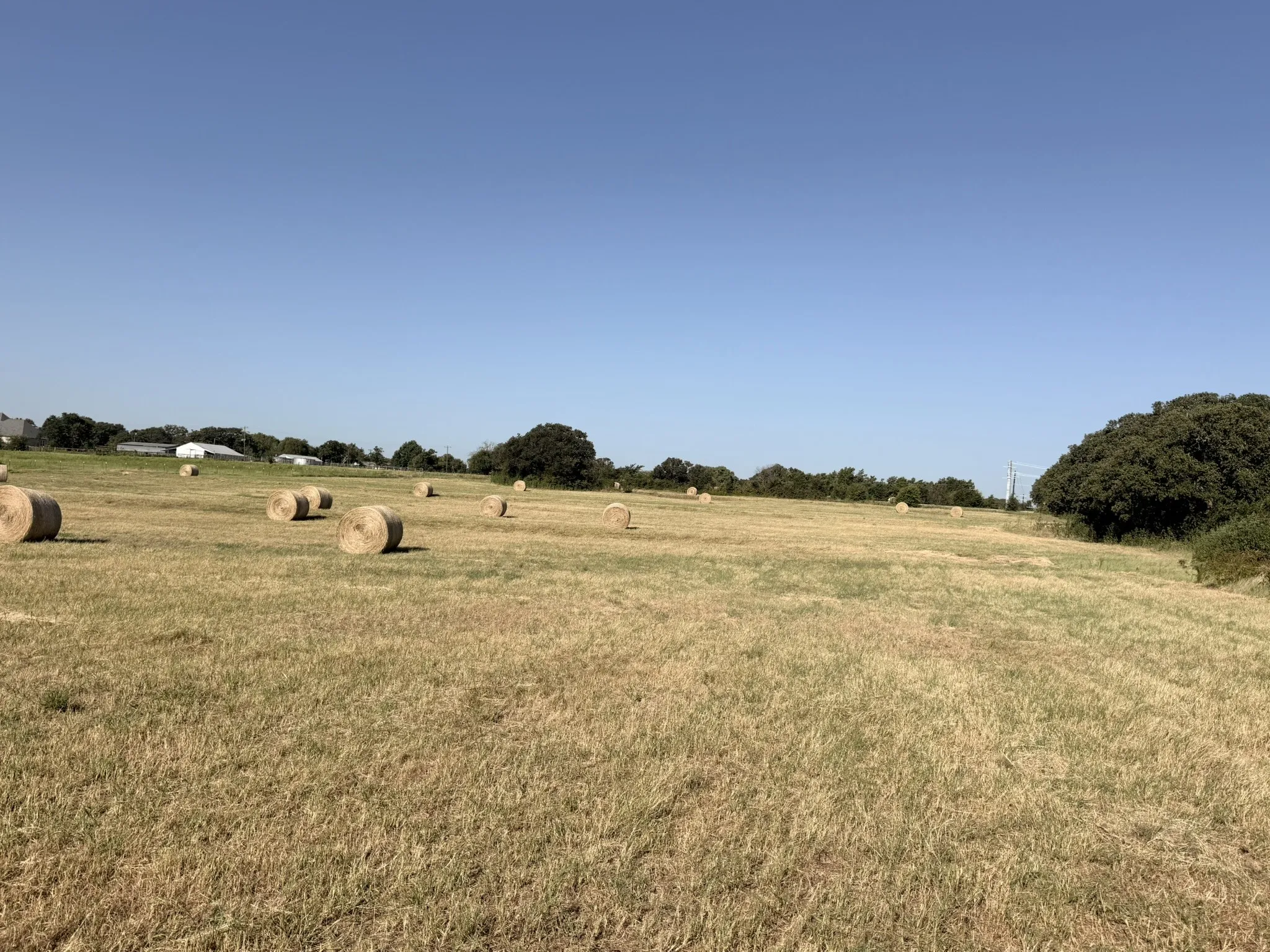 Unimproved Land For Sale in Cooke County , TBD Tract 3 County Road 2121, Gainesville, Texas 76240, 0, 0, Garage spaces, 0 Sqft, built in 0, mls#21340543, Real Estate Agent in Gainesville, Homes For Sale in Cooke county, Homes For Sale in Gainesville, Realtor in Gainesville Texas, Real Estate Brokerage Independent Realty Texas, Luminita Cordes Realtor