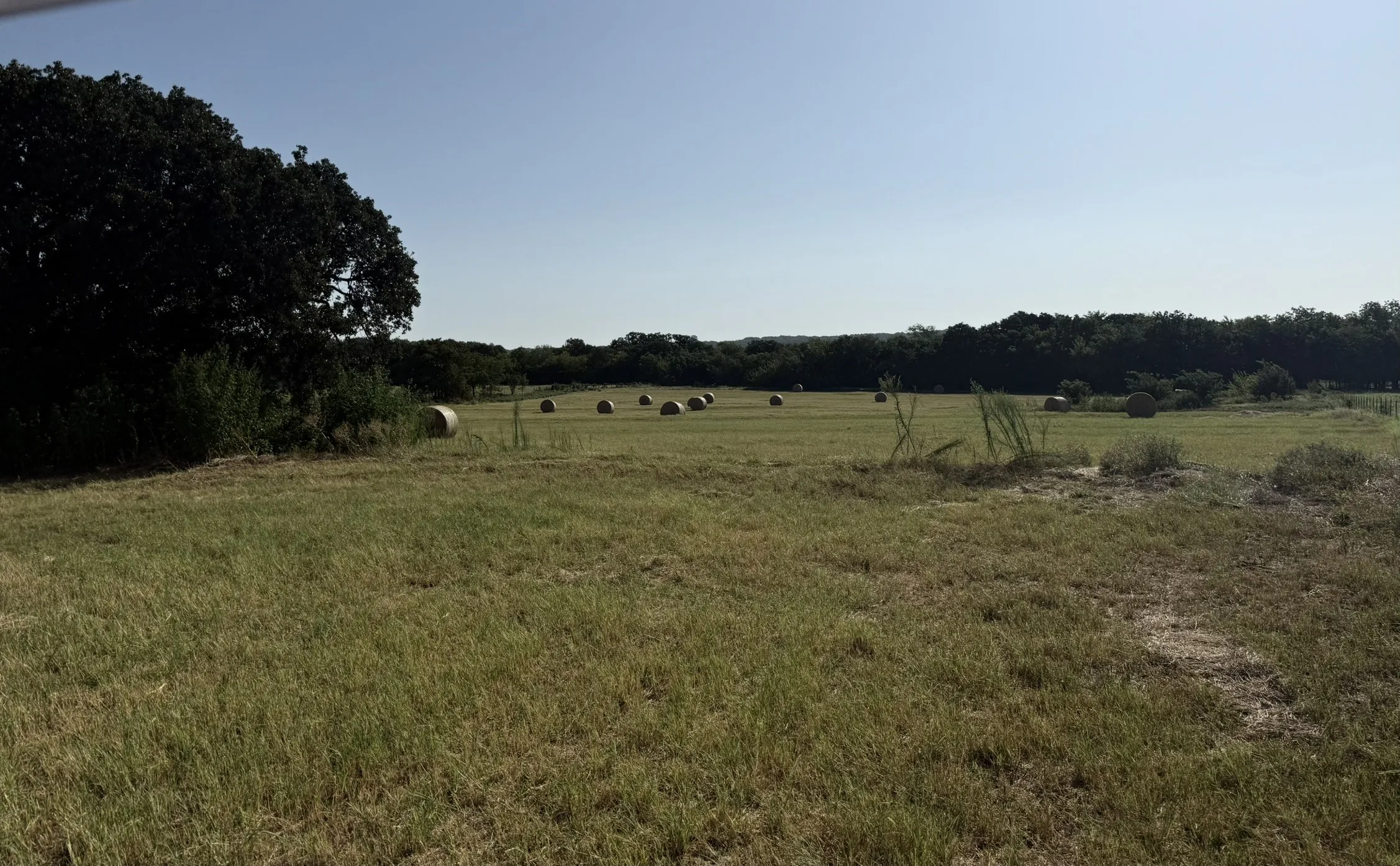 being fenced and cross-fenced gives lots of options for your use.
