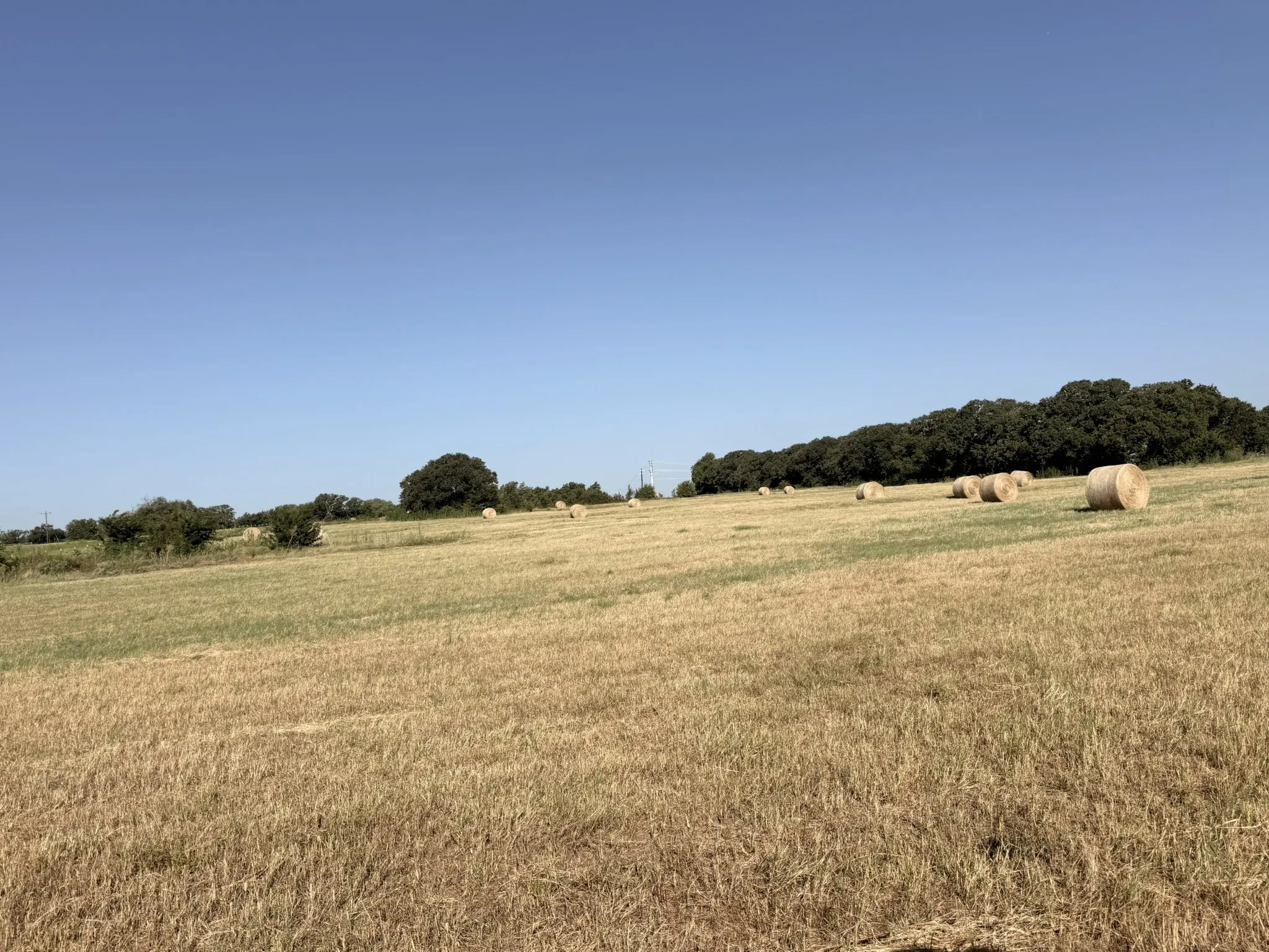 Unimproved Land For Sale in Cooke County , TBD Tract 3 County Road 2121, Gainesville, Texas 76240, 0, 0, Garage spaces, 0 Sqft, built in 0, mls#21340543, Real Estate Agent in Gainesville, Homes For Sale in Cooke county, Homes For Sale in Gainesville, Realtor in Gainesville Texas, Real Estate Brokerage Independent Realty Texas, Luminita Cordes Realtor