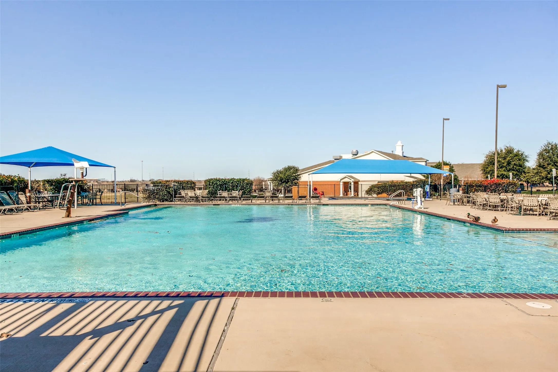Community Pool