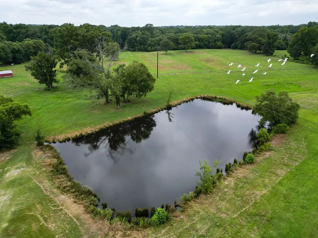 Farm For Sale in Wood County , 1509 County Road 3170, Quitman, Texas 75783, 4 Bedrooms, 2 Bathrooms, Garage spaces, 2,176 Sqft, built in 2021, Price $550,000, mls#21341932, Real Estate Agent in Quitman, Homes For Sale in Wood county, Homes For Sale in Quitman, Realtor in Quitman Texas, Real Estate Brokerage Independent Realty Texas, Luminita Cordes Realtor